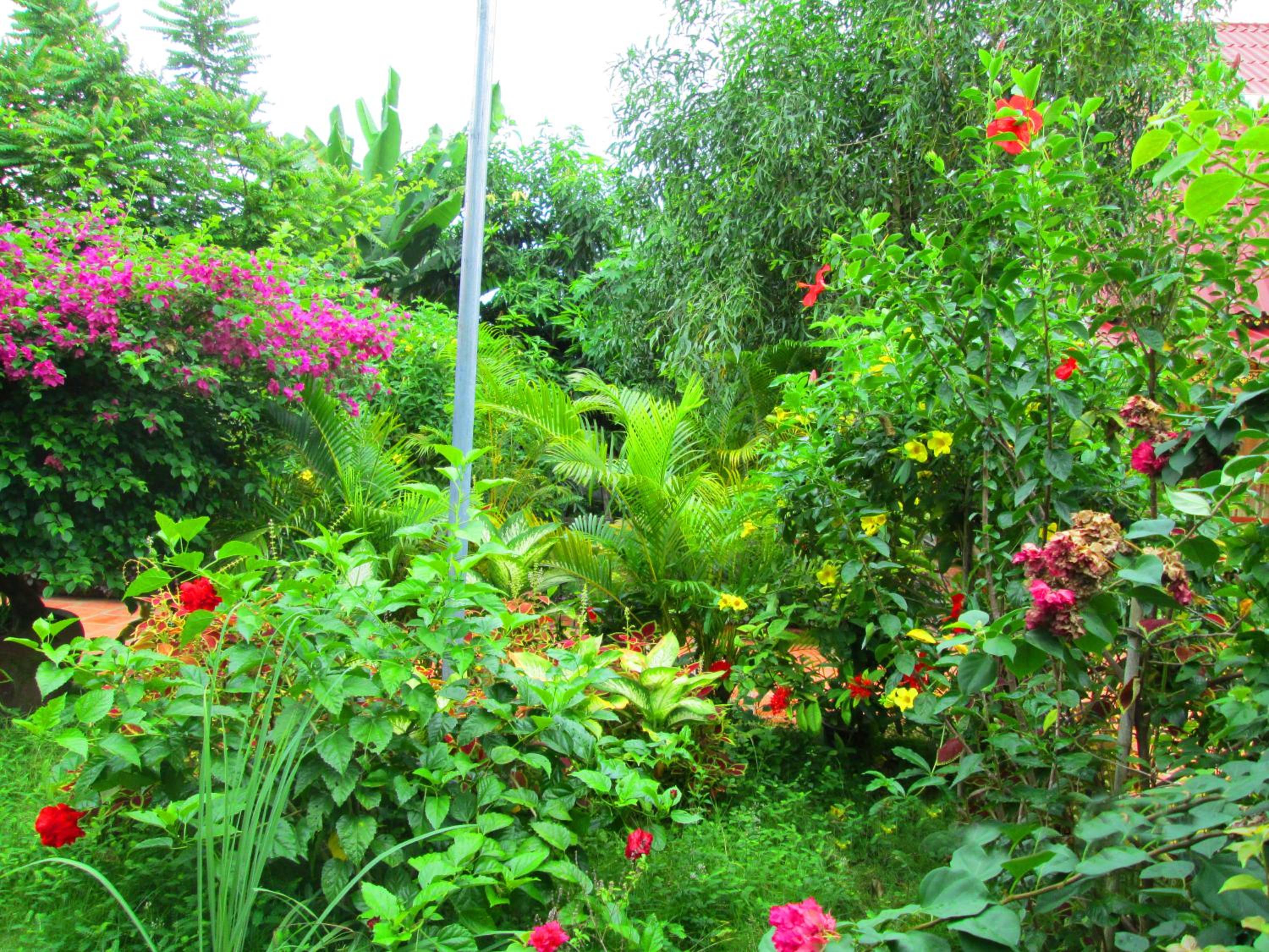 Reaksmey Meanrith Guesthouse and Residence