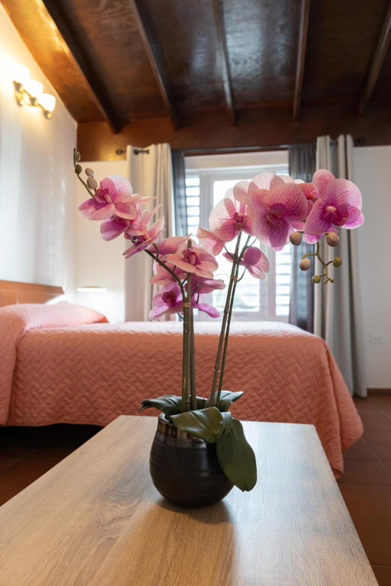 Foto 40 de 90 de Andalucia Guest House