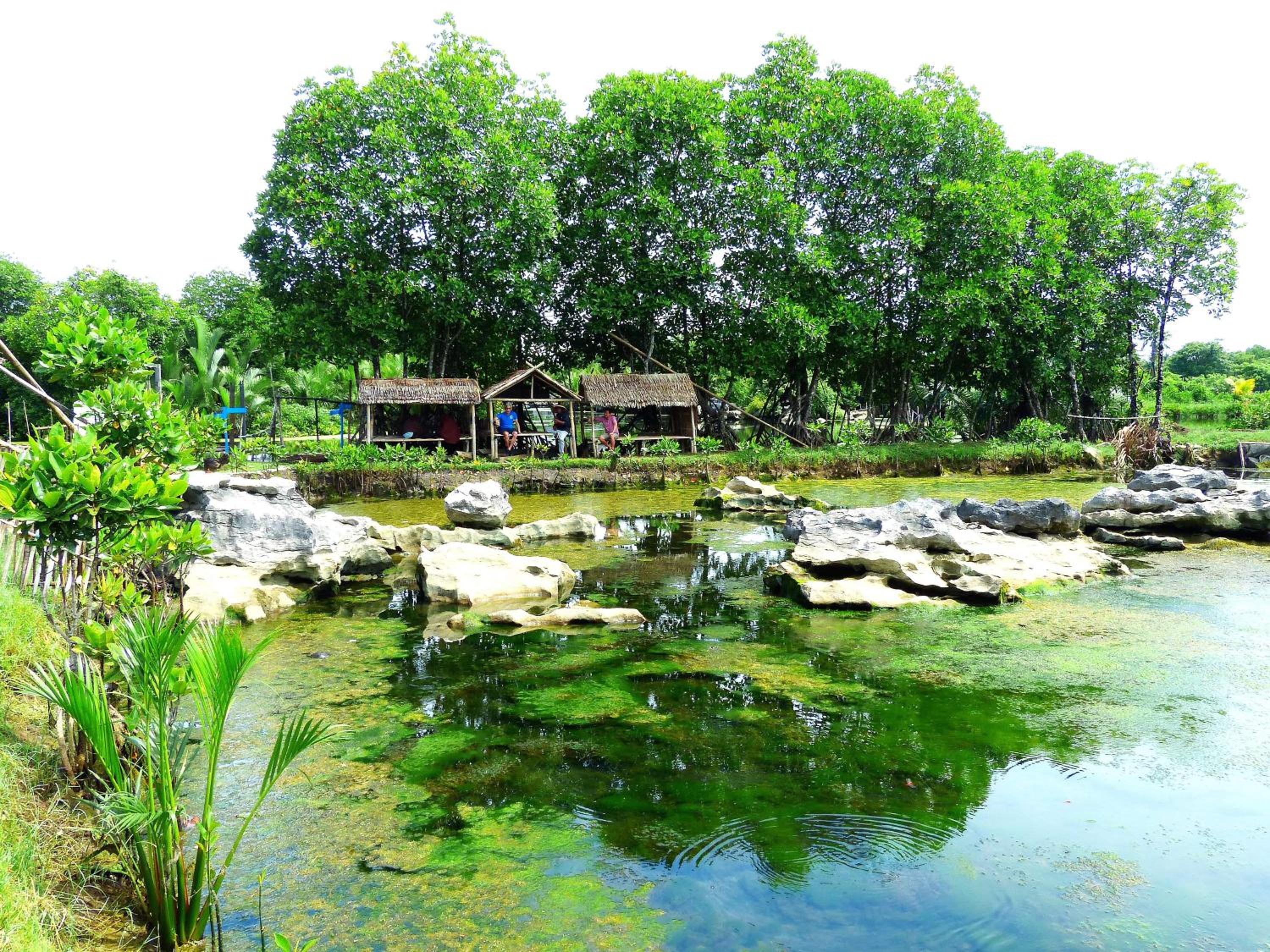 Kampoeng Karst Rammang Rammang