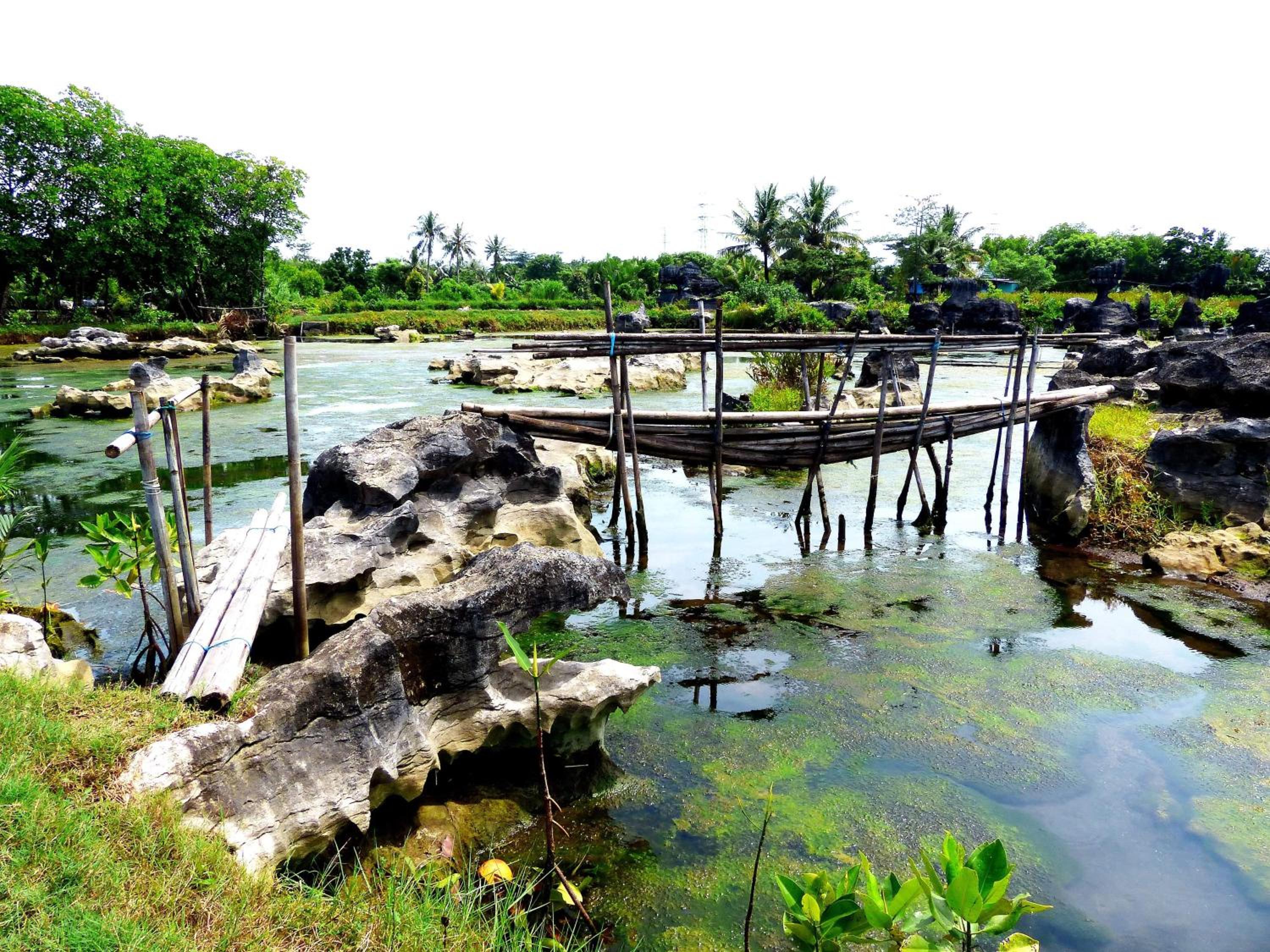 Kampoeng Karst Rammang Rammang