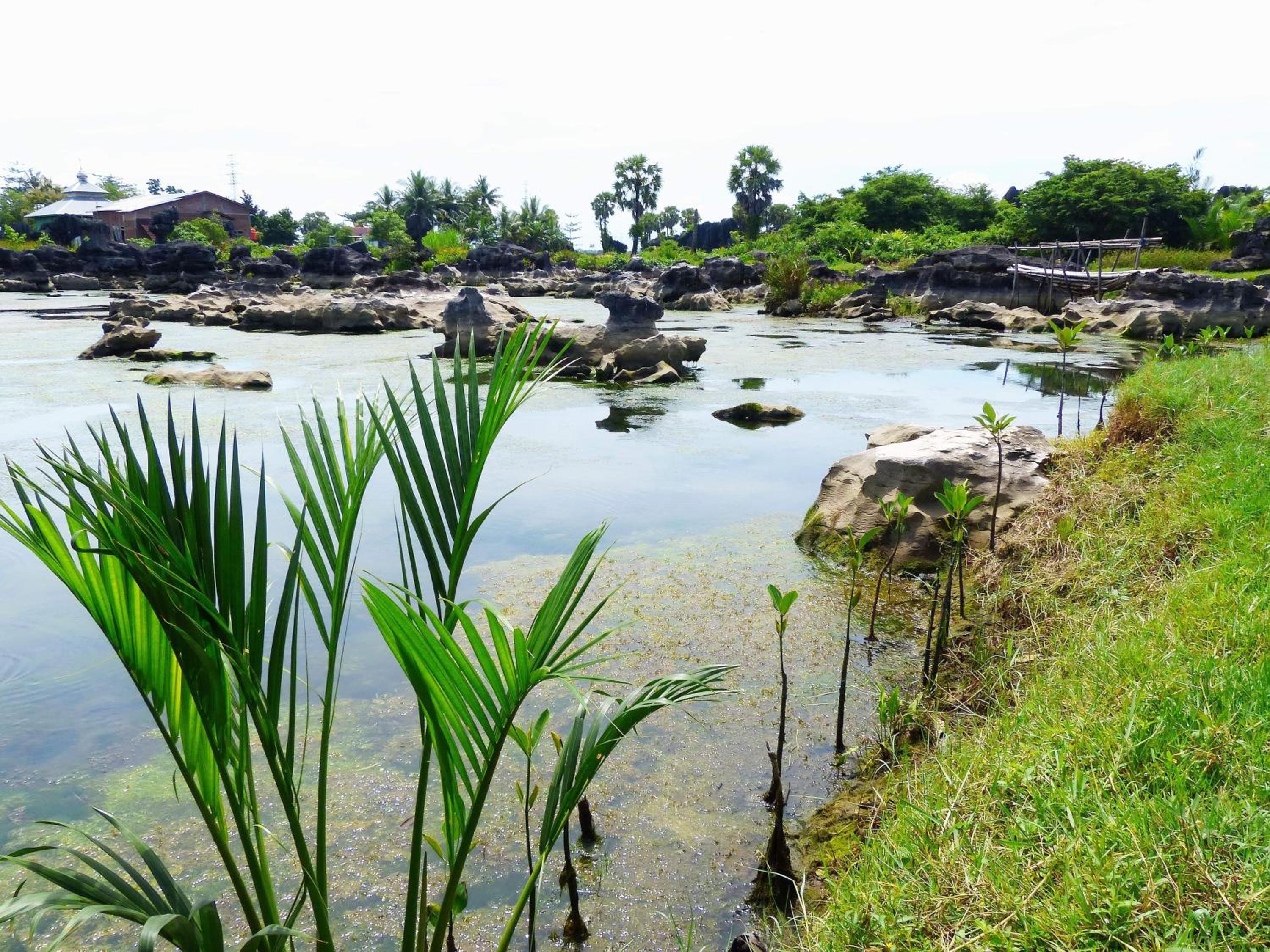 Kampoeng Karst Rammang Rammang