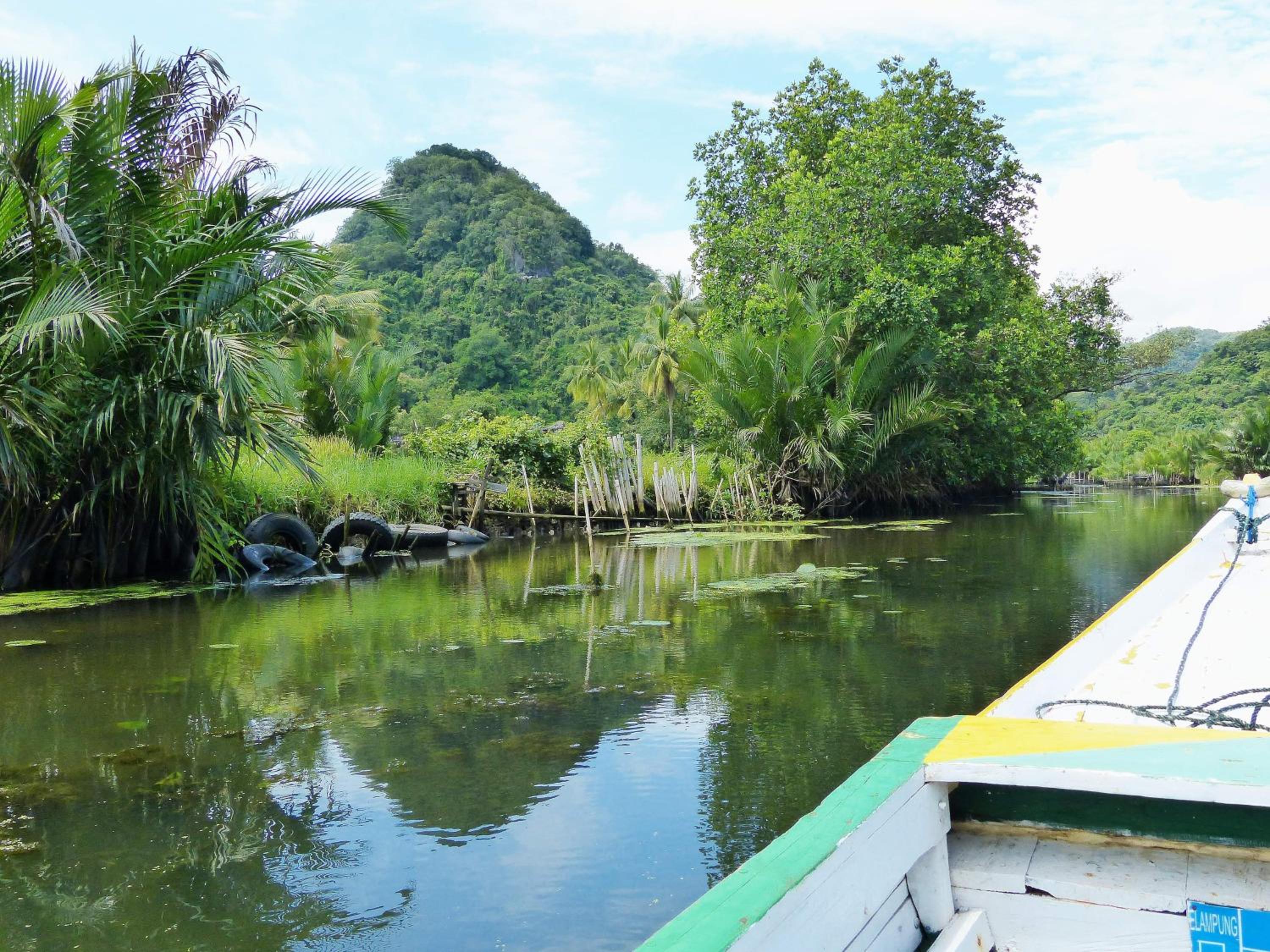 Kampoeng Karst Rammang Rammang