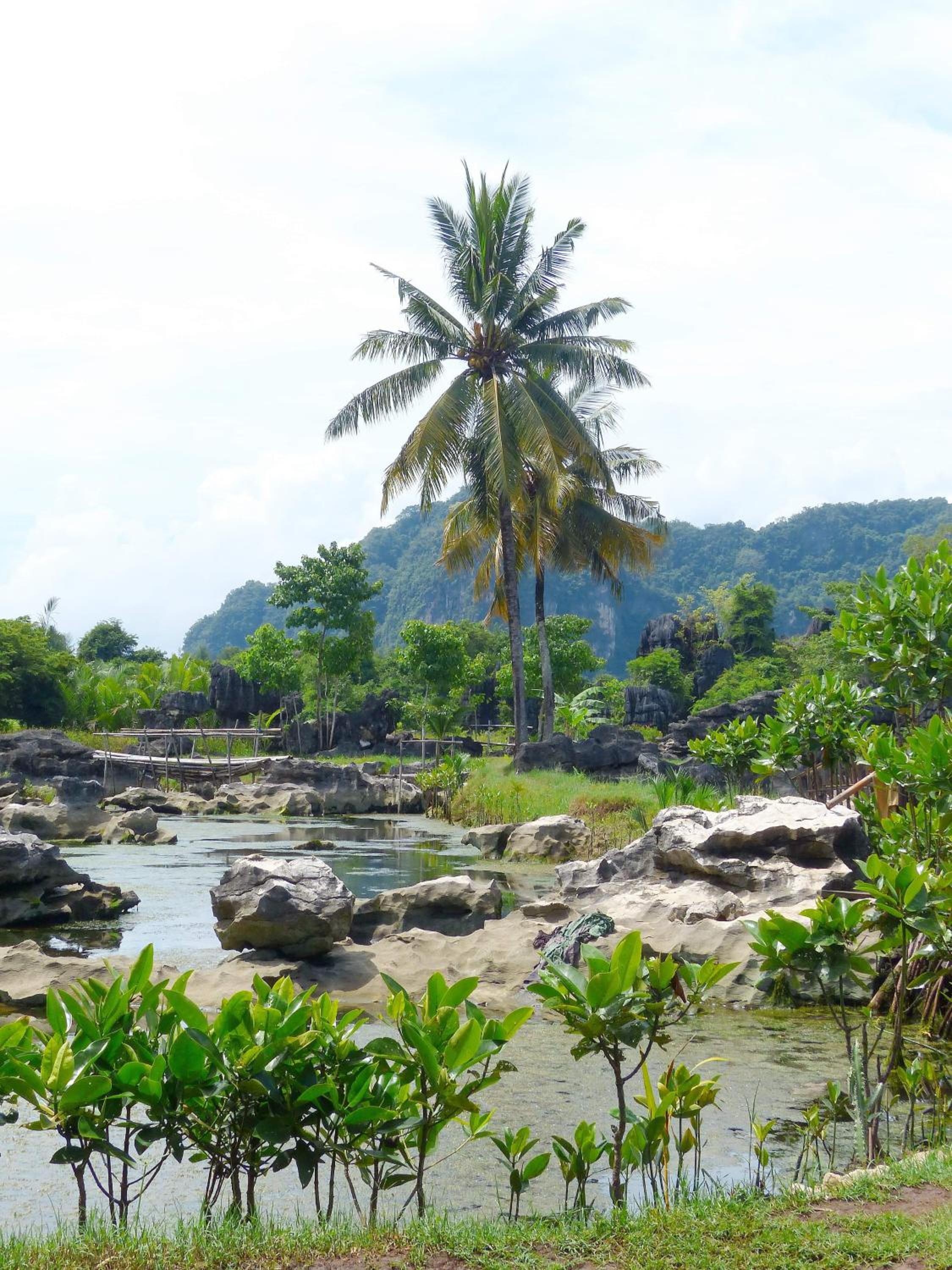 Kampoeng Karst Rammang Rammang
