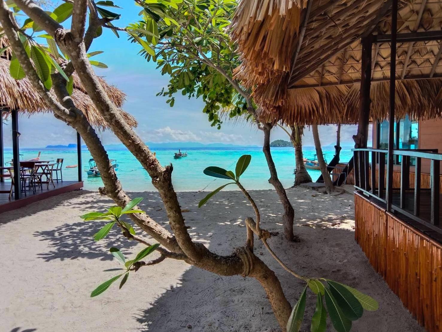 Sea To Moon Lipe