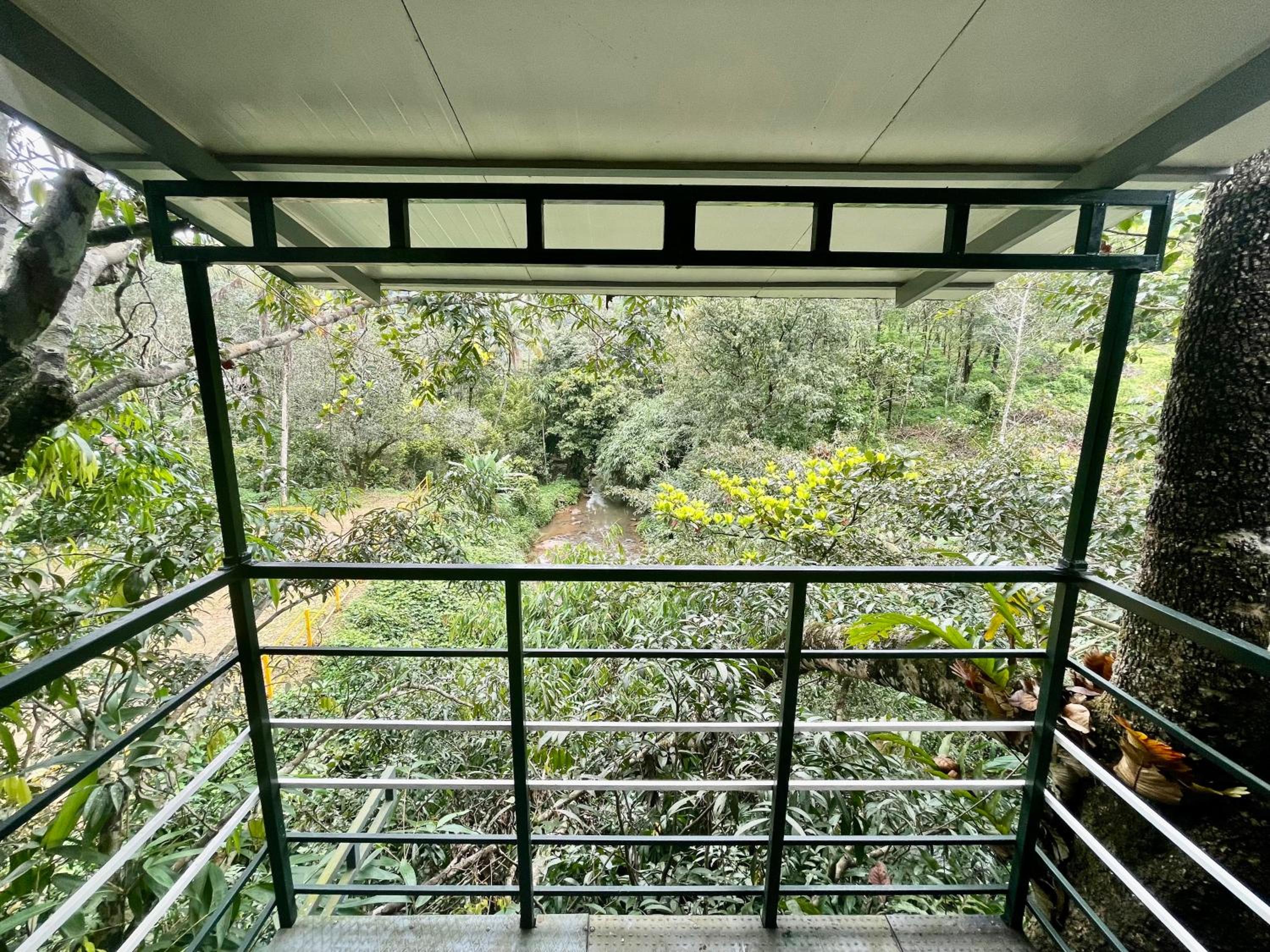 Photo 45