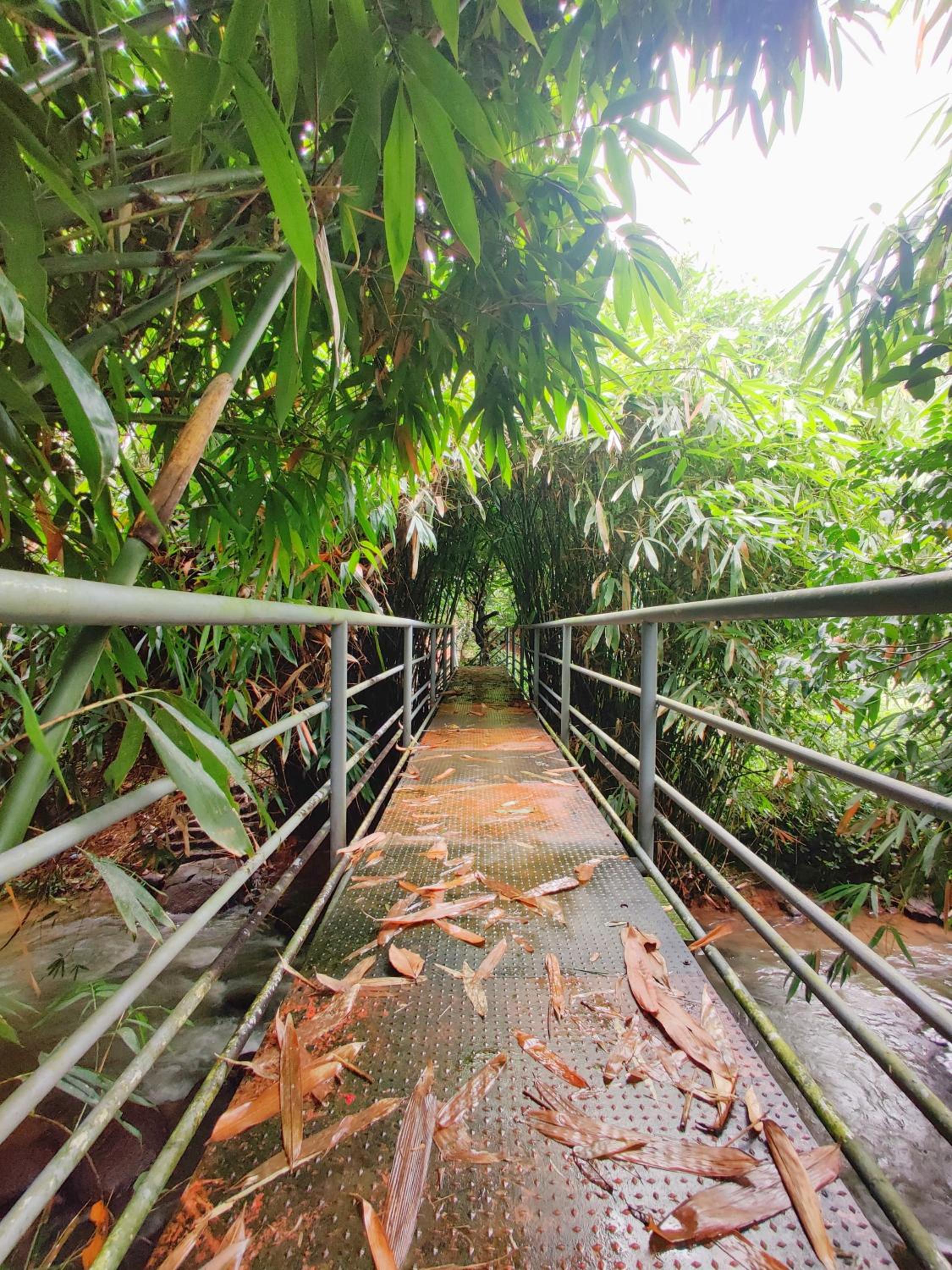 Photo 48