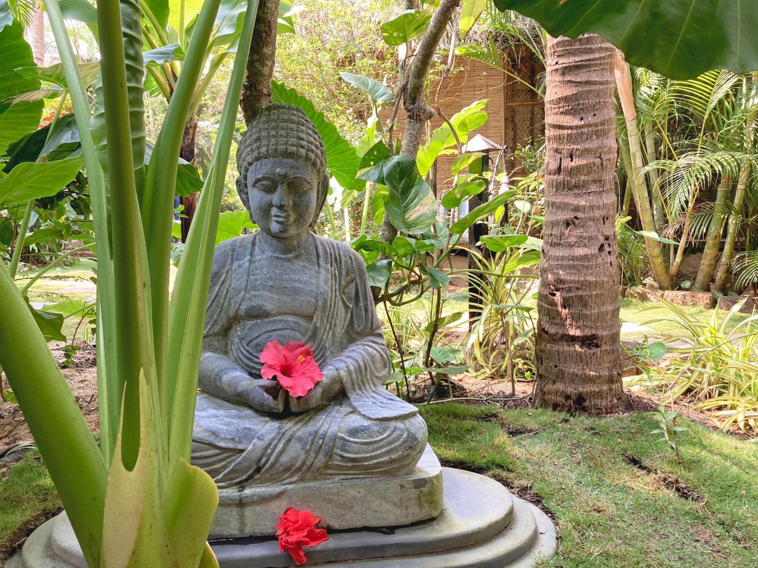 Agonda Cottages view 4