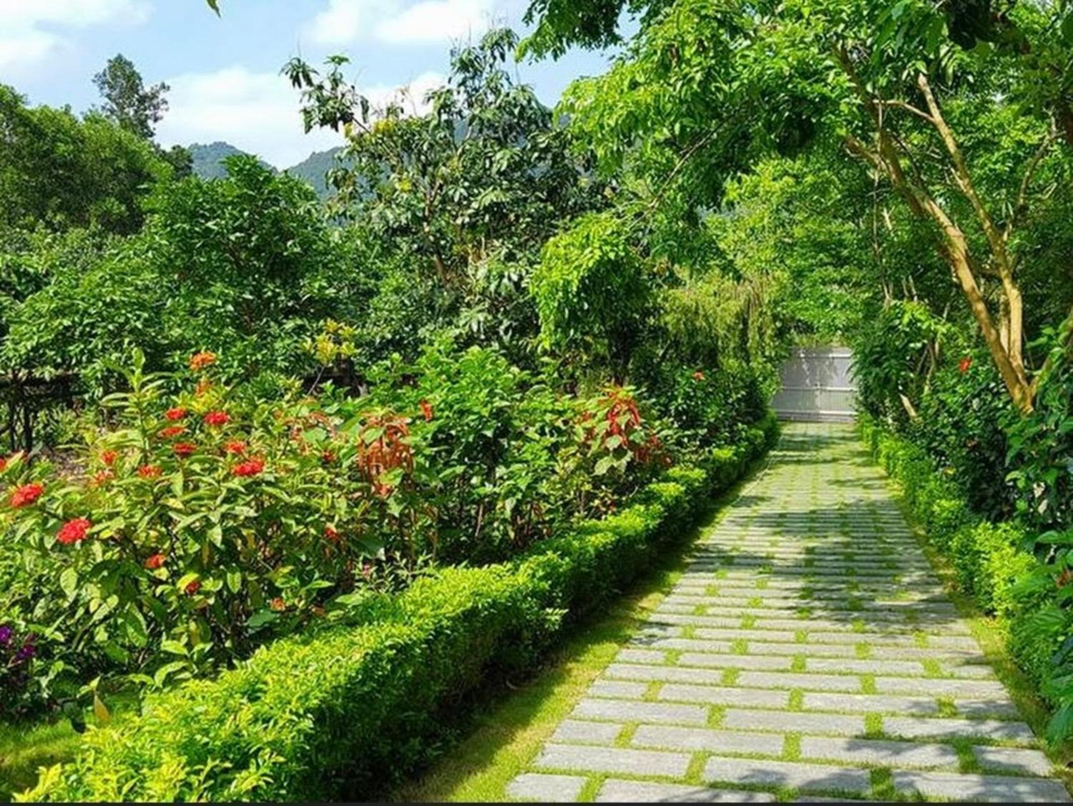 Biệt Thự Con Công Sóc Sơn Venuestay view 3