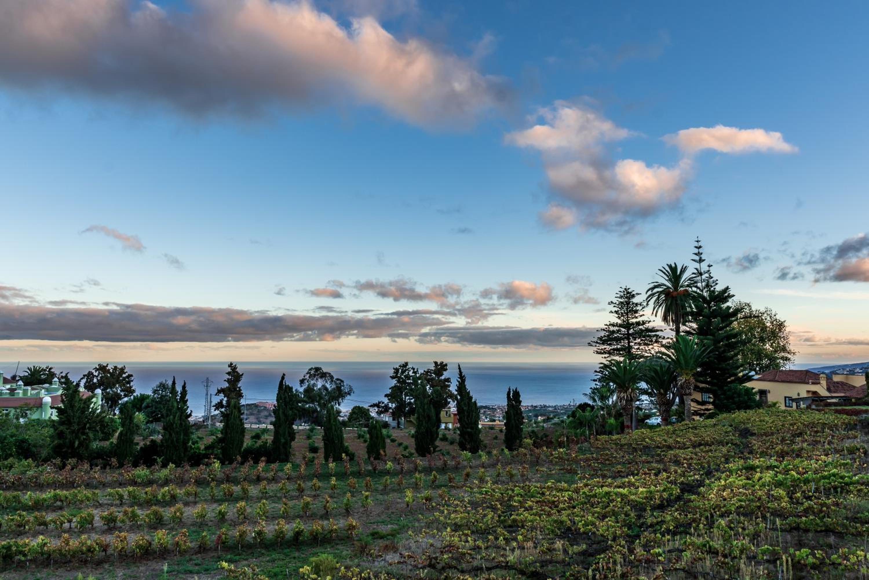 CASA RURAL EL LAGAR TENERIFE view 2