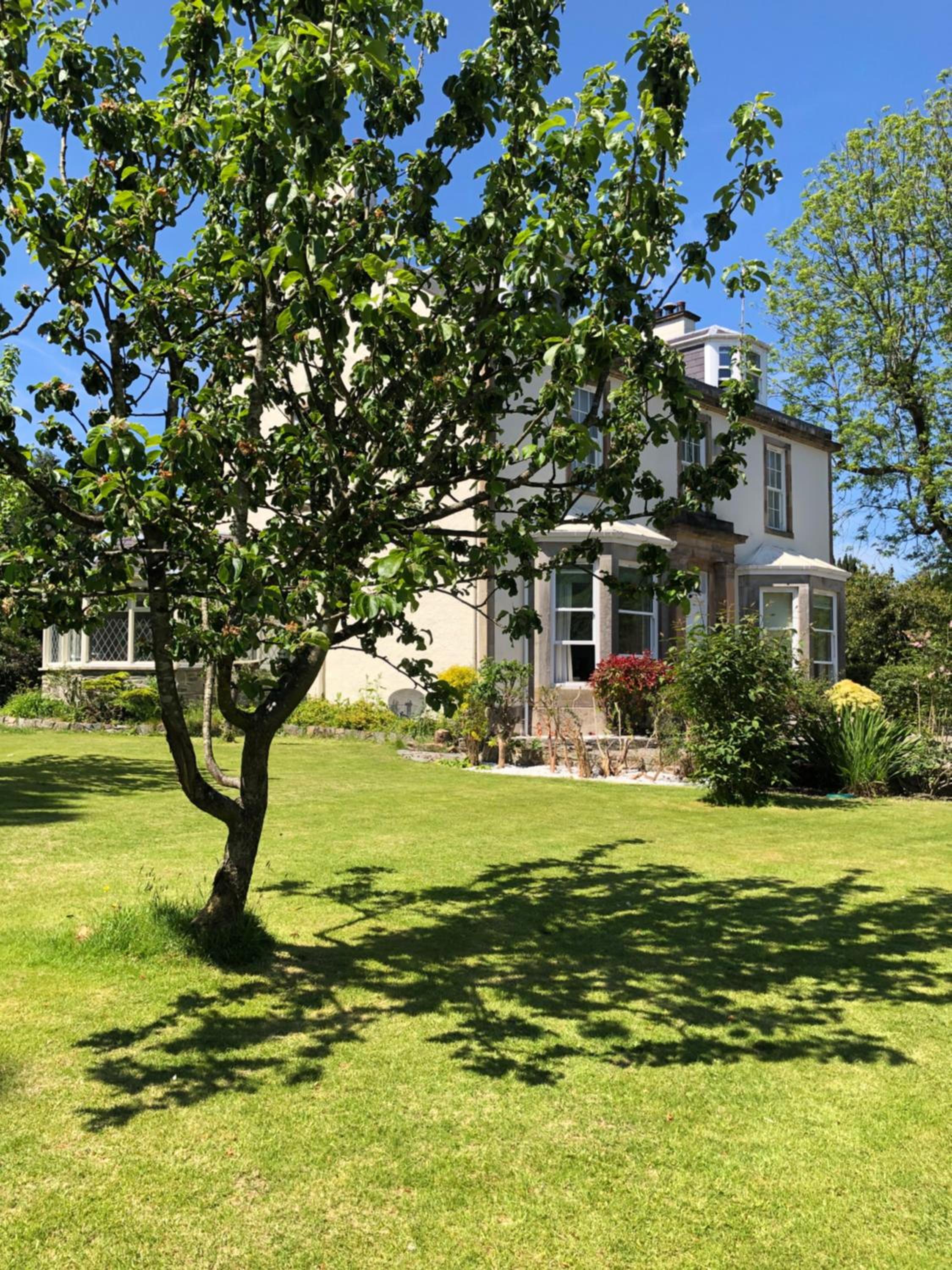 Photo 19