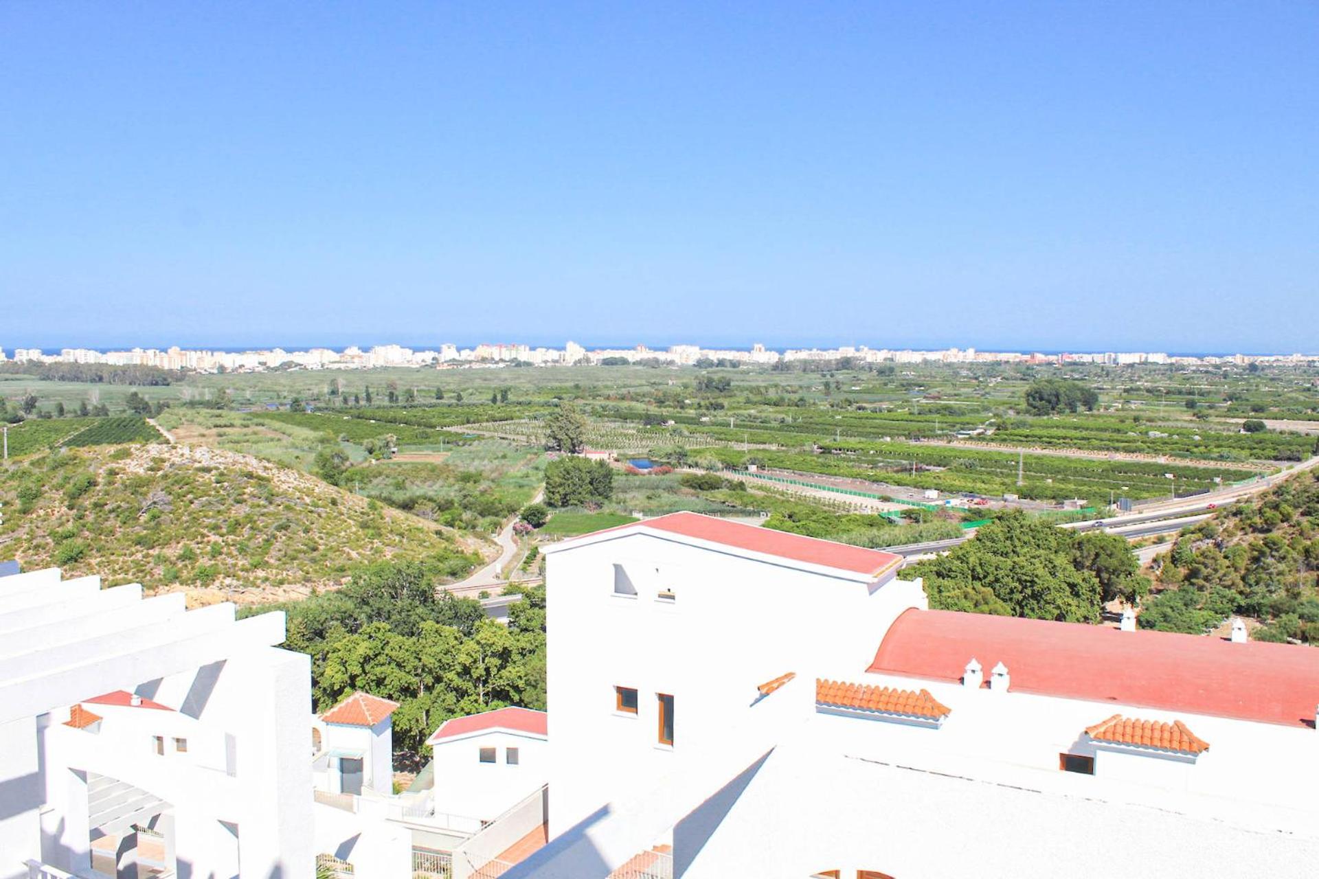 Xeresa del monte Sunshine