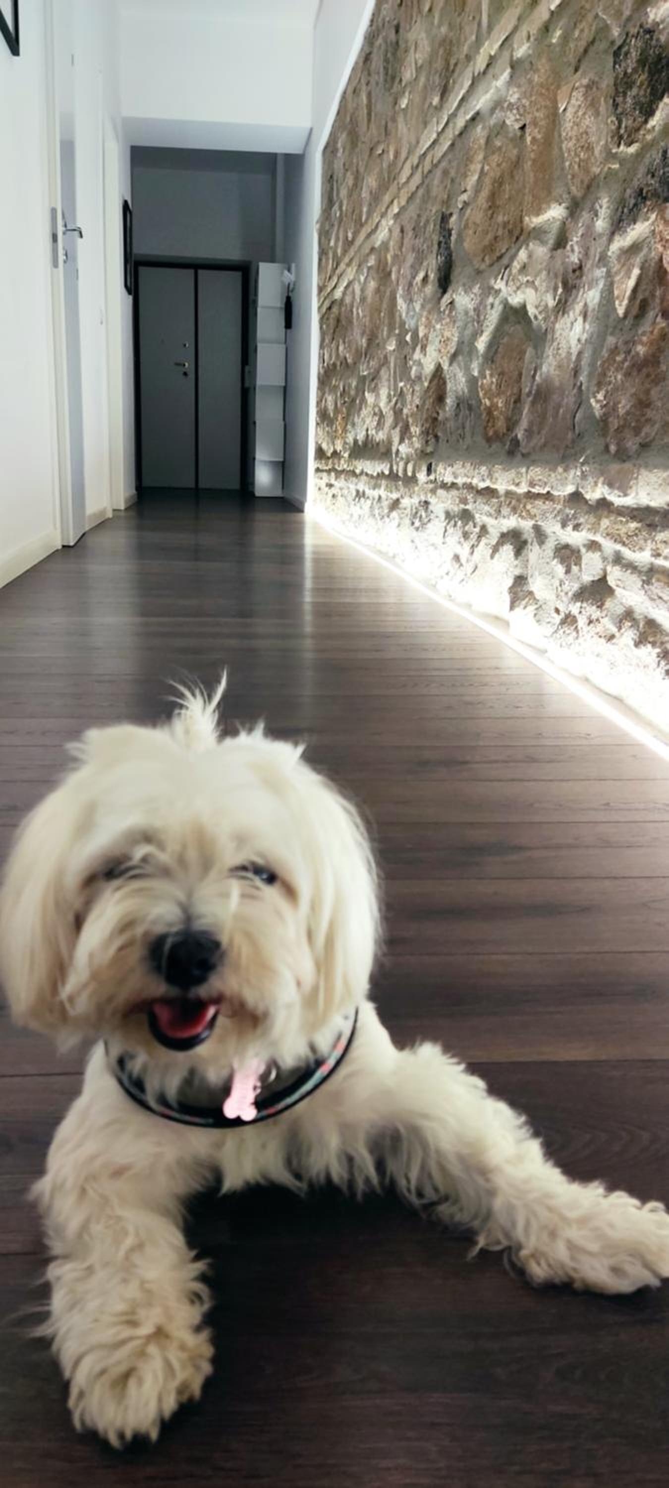 EMA FLAT in Trastevere
