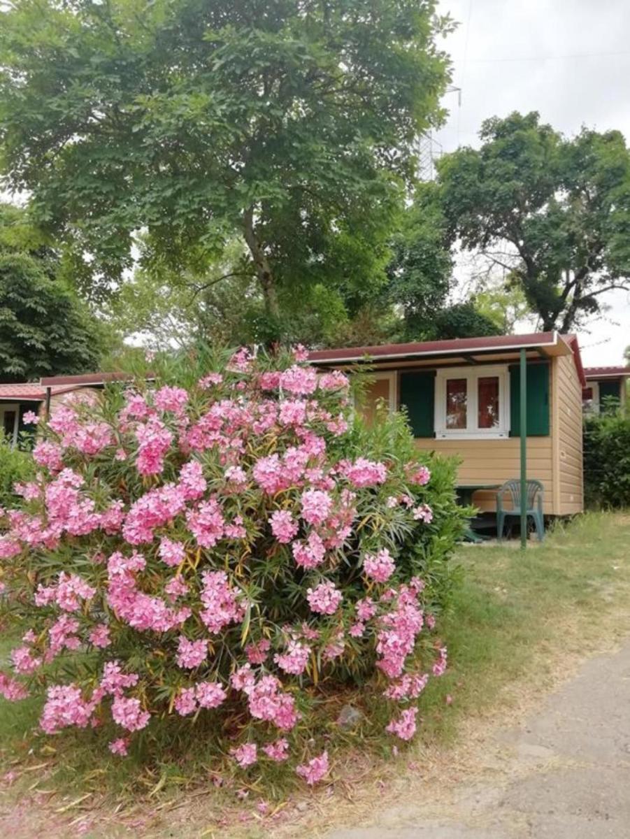 Firenze Certosa camping