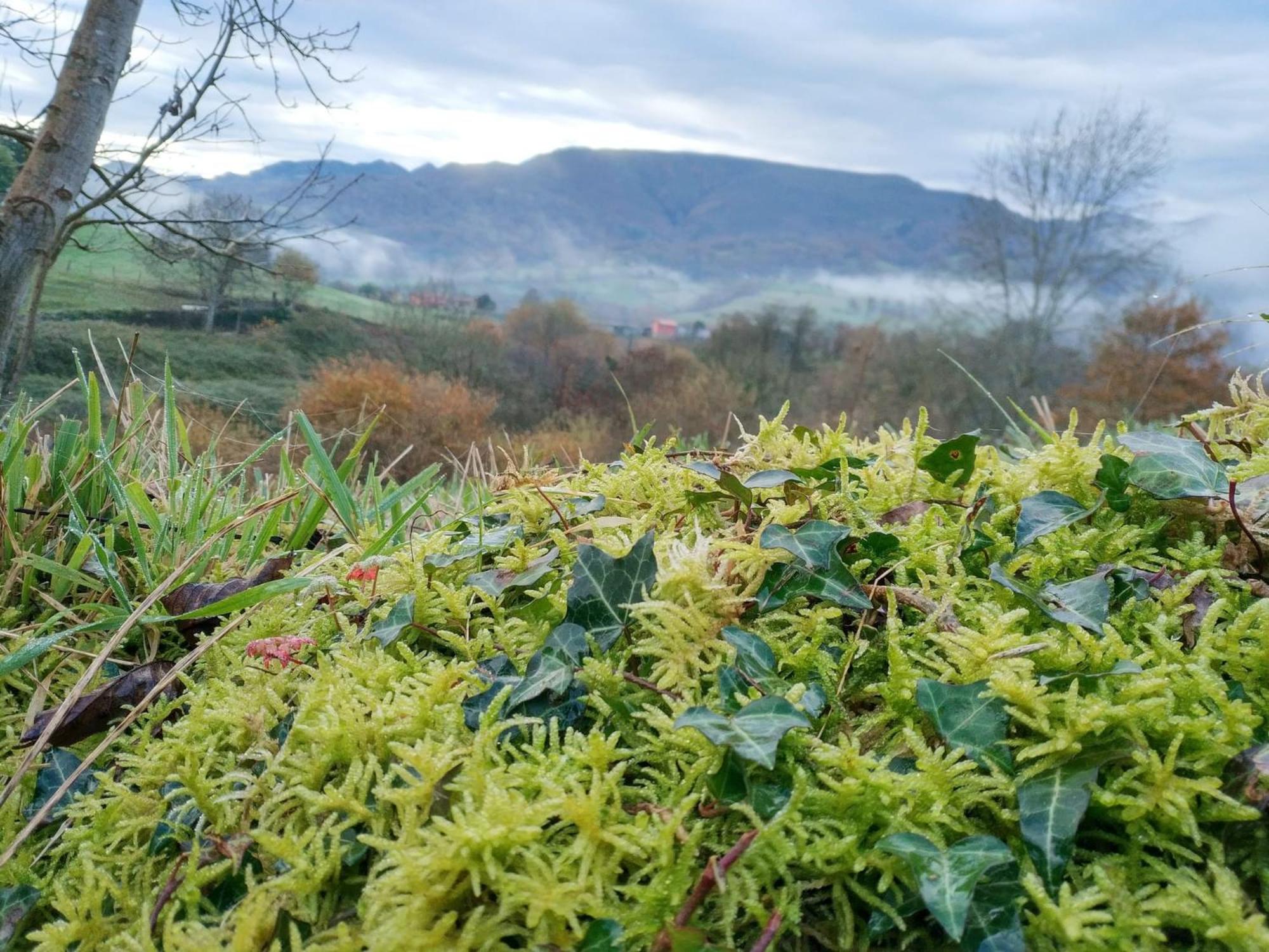 El Balcon del Horreo