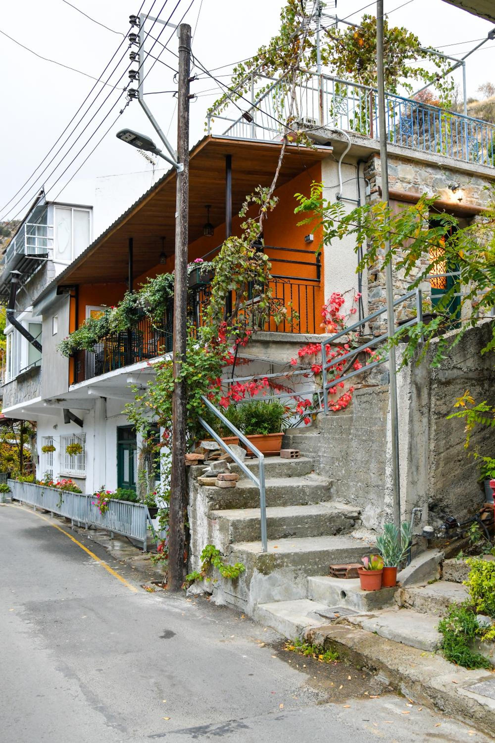 Sophias Cottage