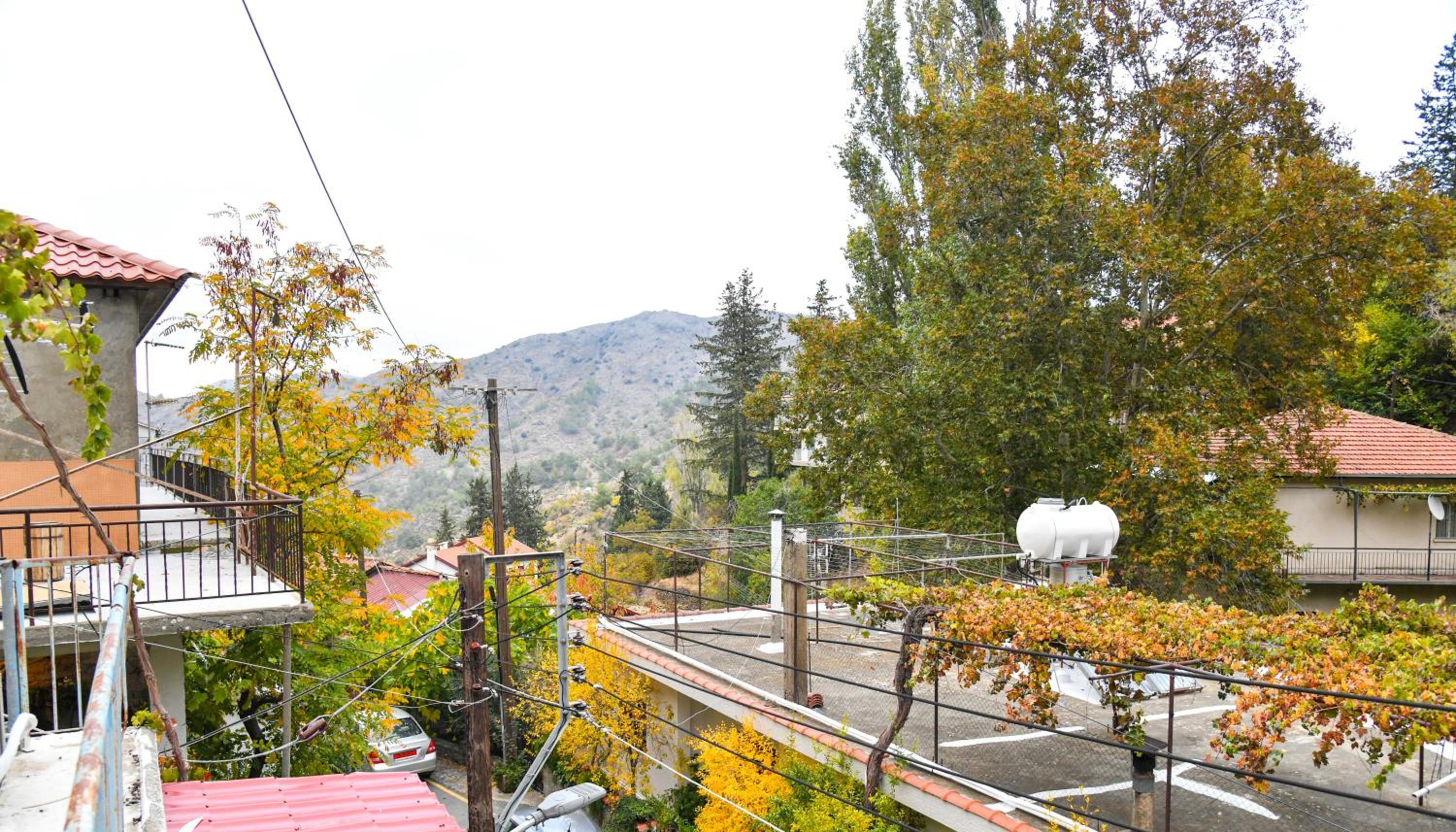 Sophias Cottage