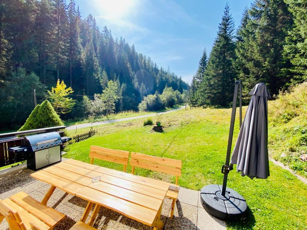 Wildbach Chalet Turrach view 2