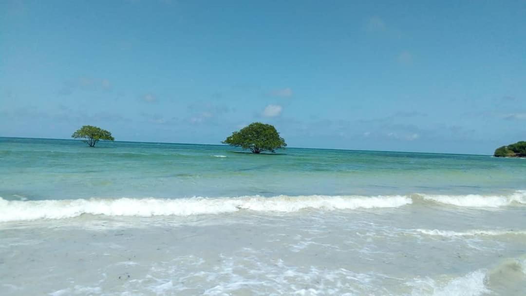 L&J Modern Backpackers Kigamboni Beach House view 2