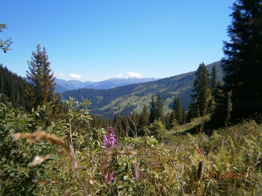 Photo 29