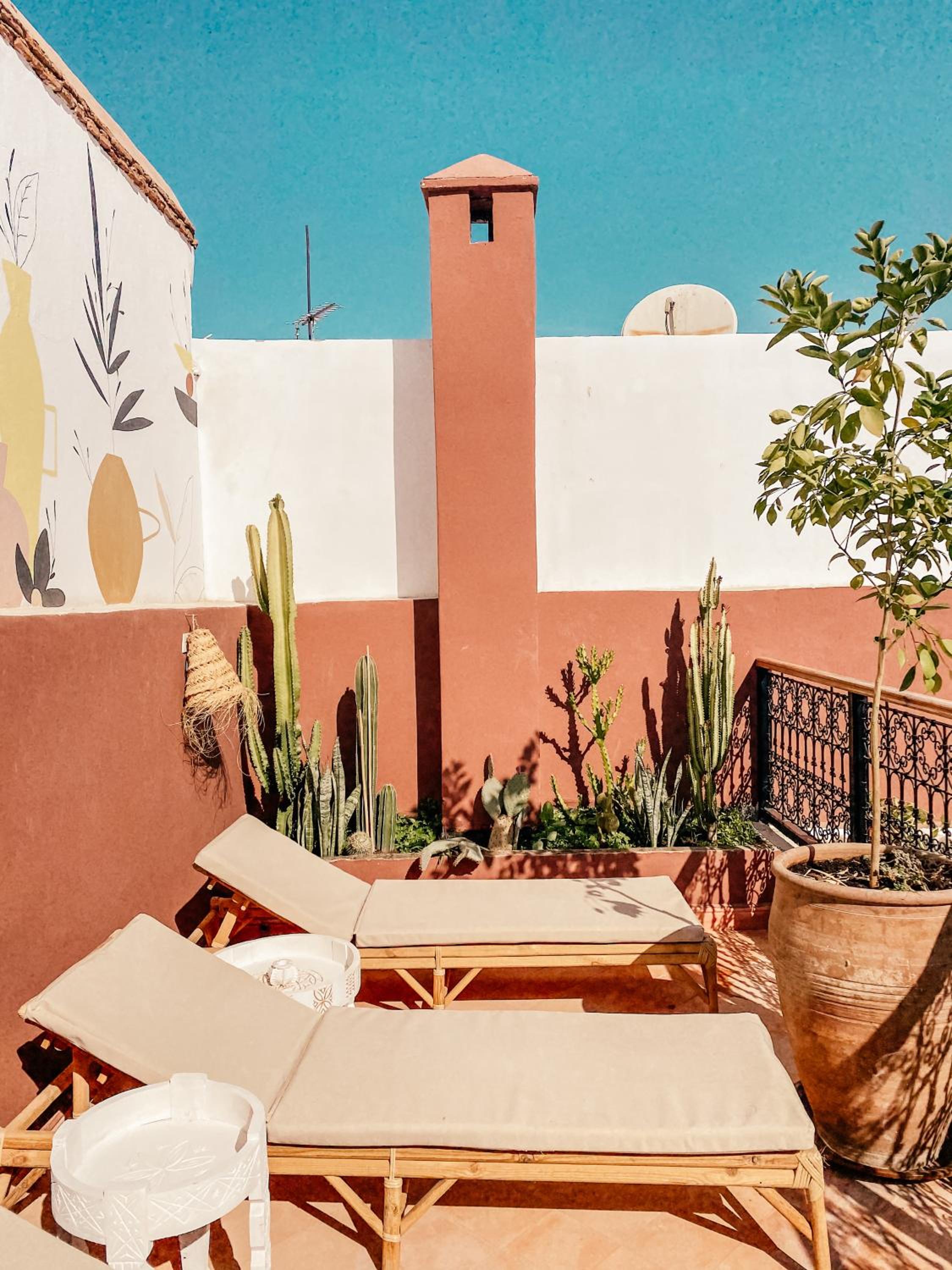 balance & terrace