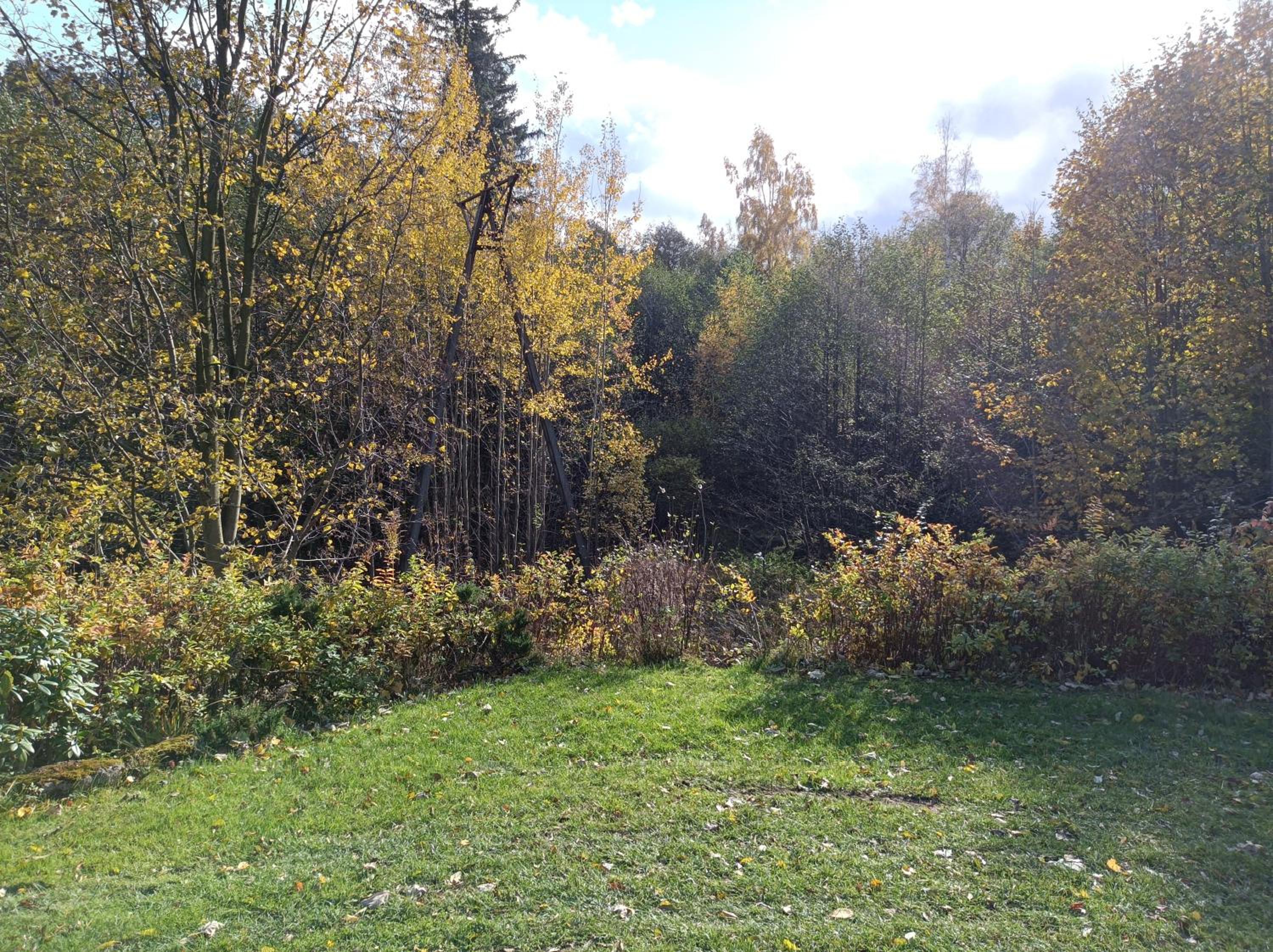 Photo 51