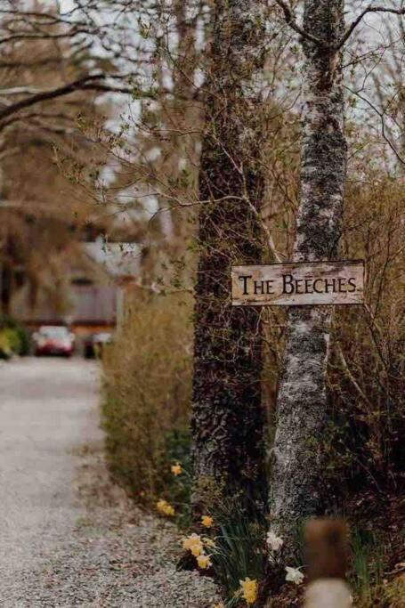 The Beeches Studio, Highlands of Scotland view 3
