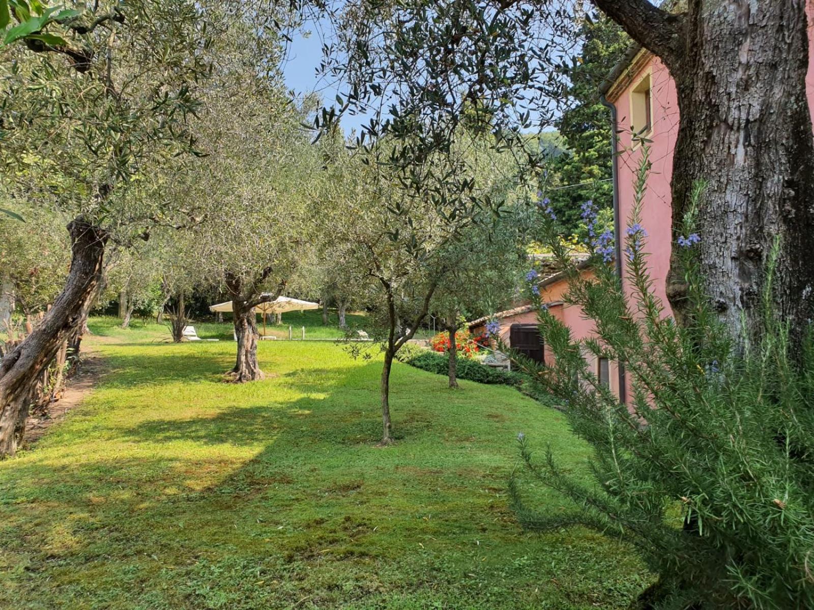 La Migliana by Nicola Real Estate photo 3