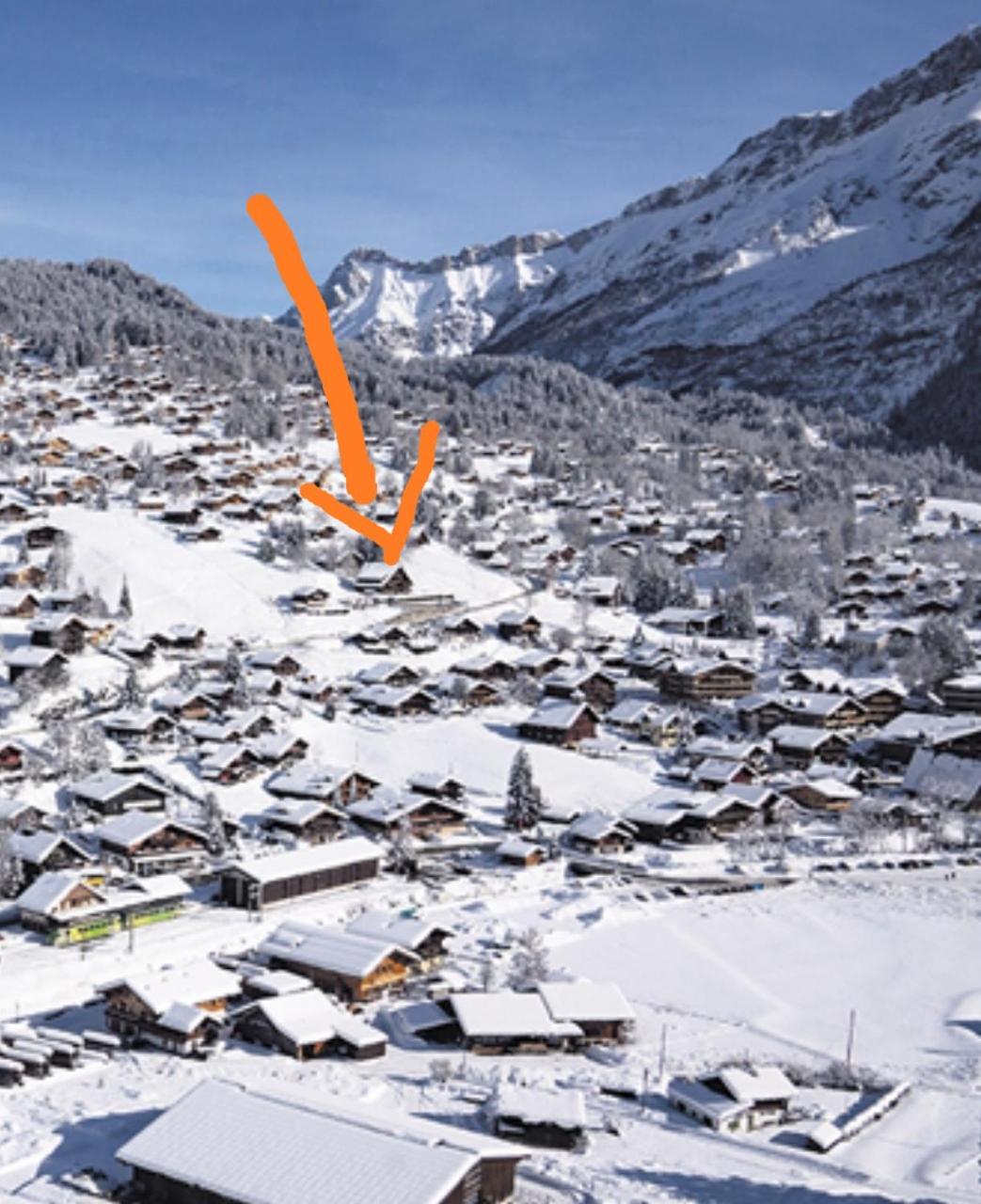 Studio avec vue splendide sur les Diablerets