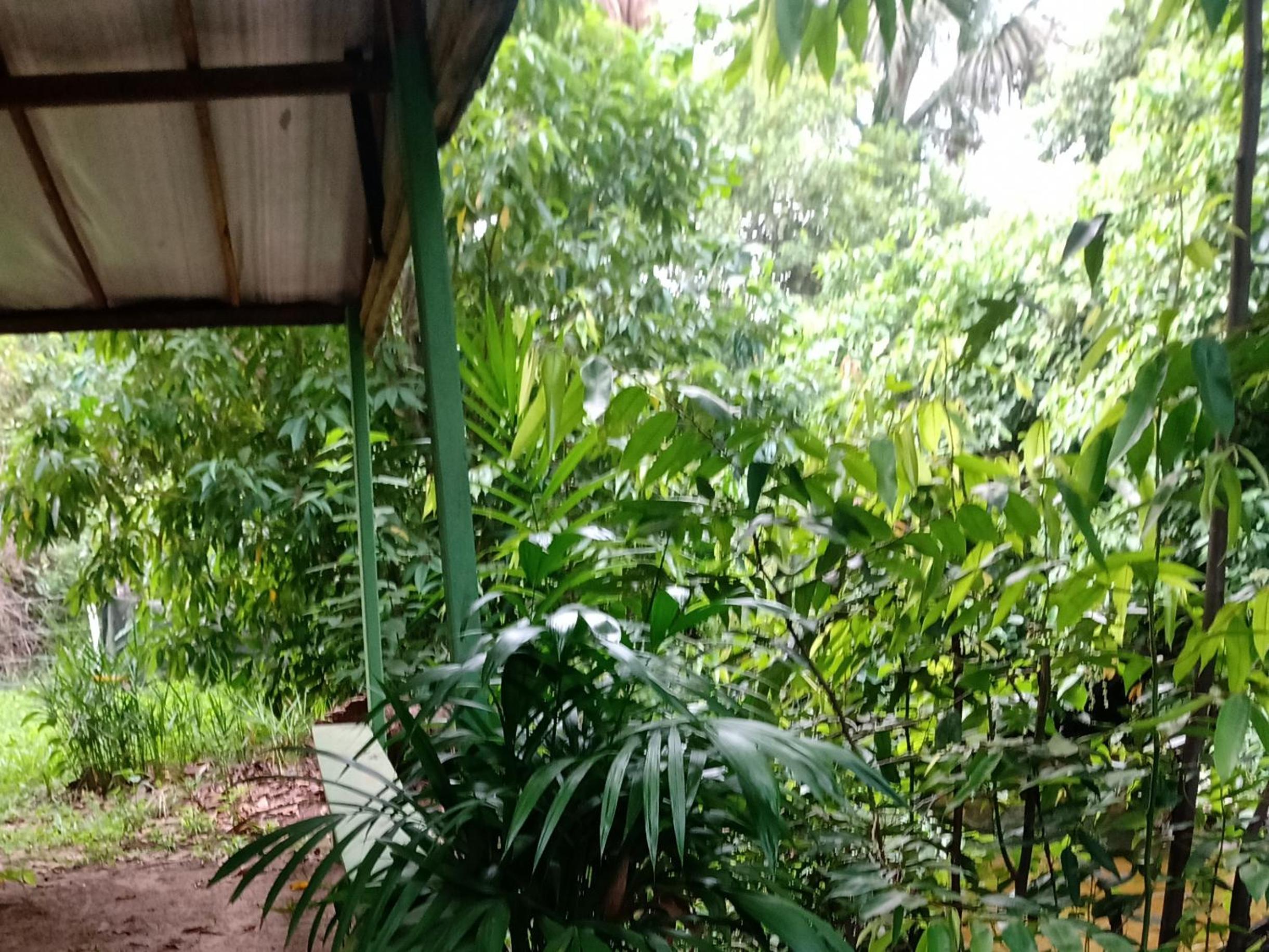RECANTO DO SABIÁ