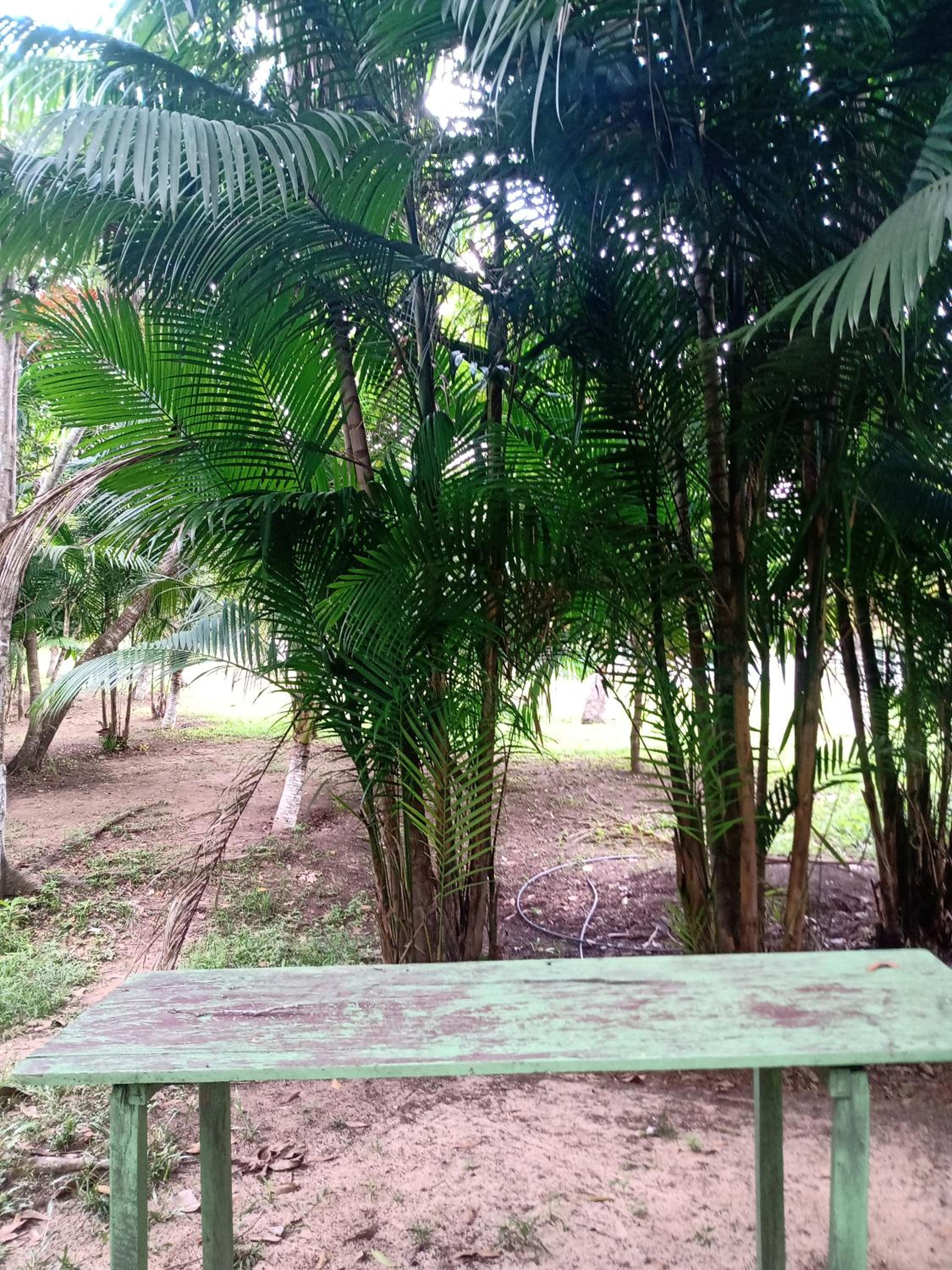 RECANTO DO SABIÁ
