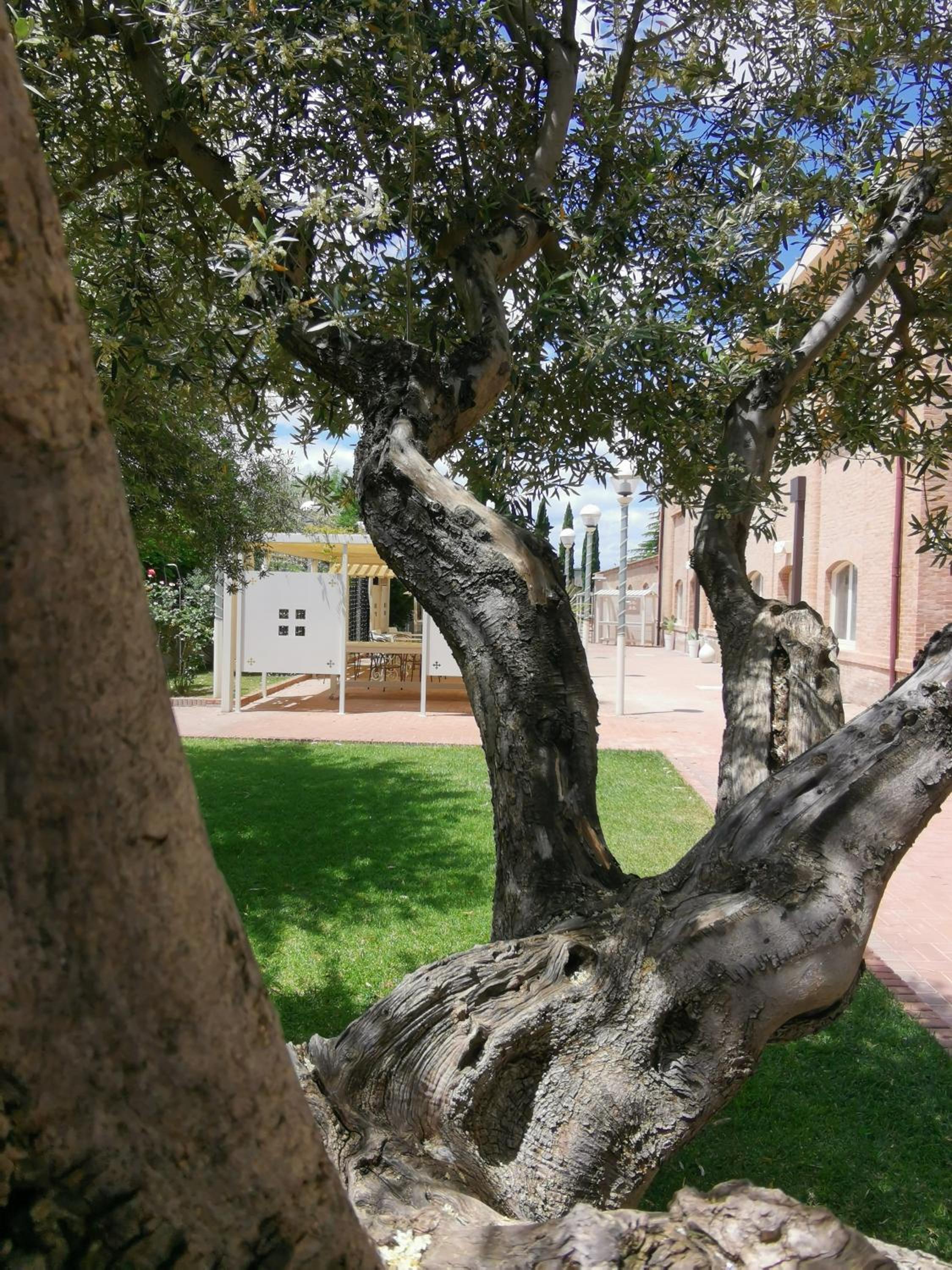 FLOS Guest House