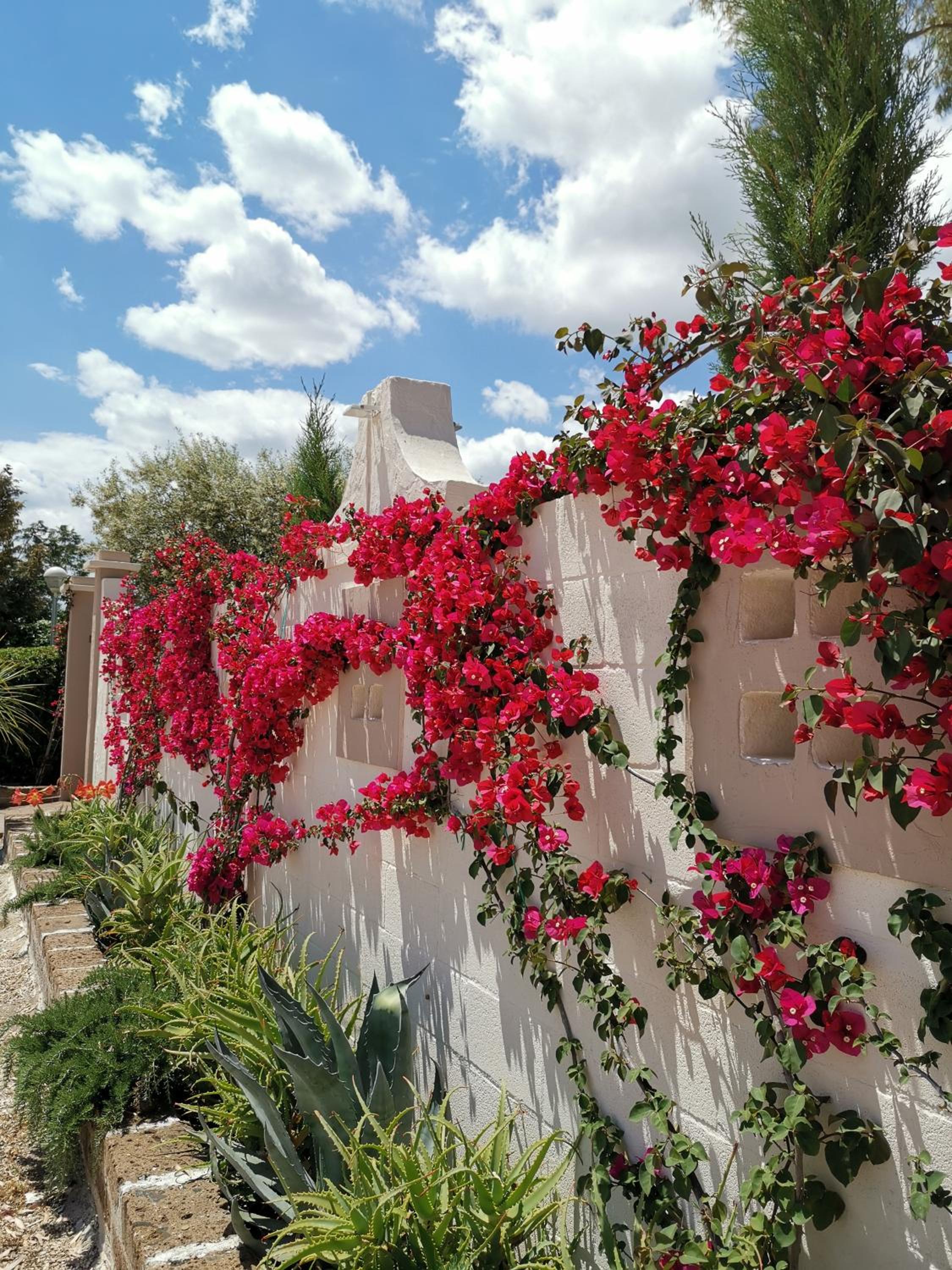 FLOS Guest House