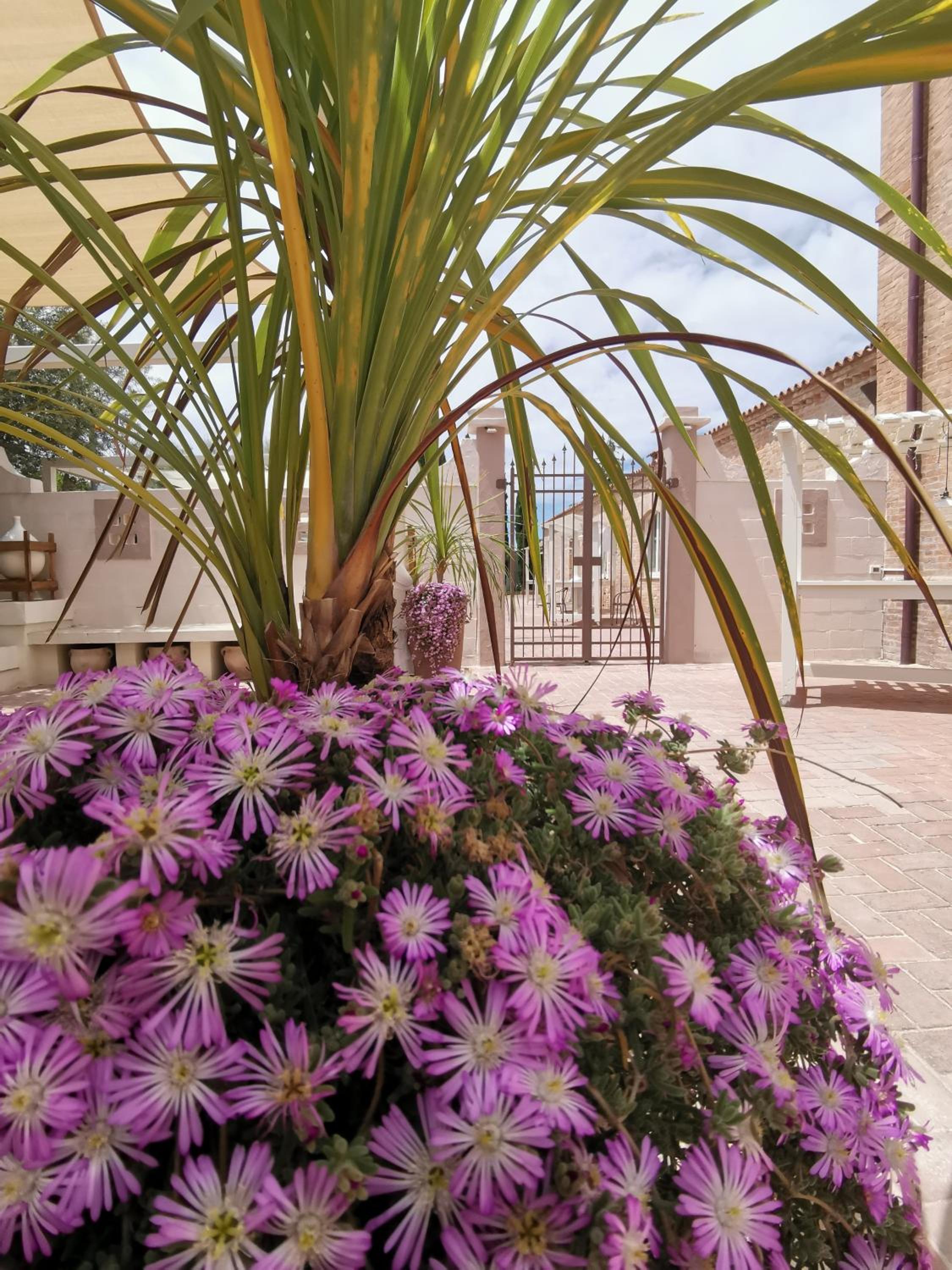 FLOS Guest House