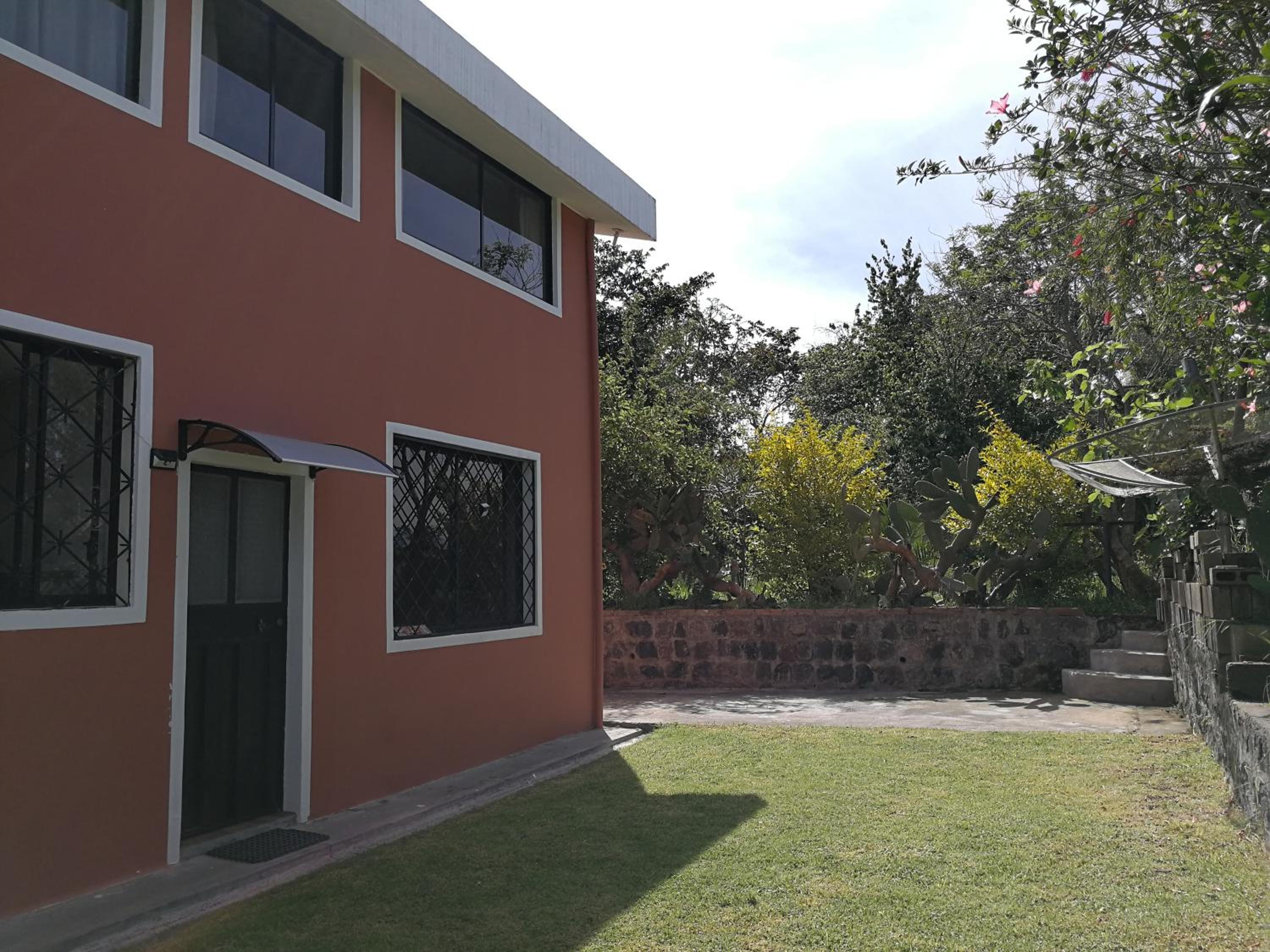 Photo 44