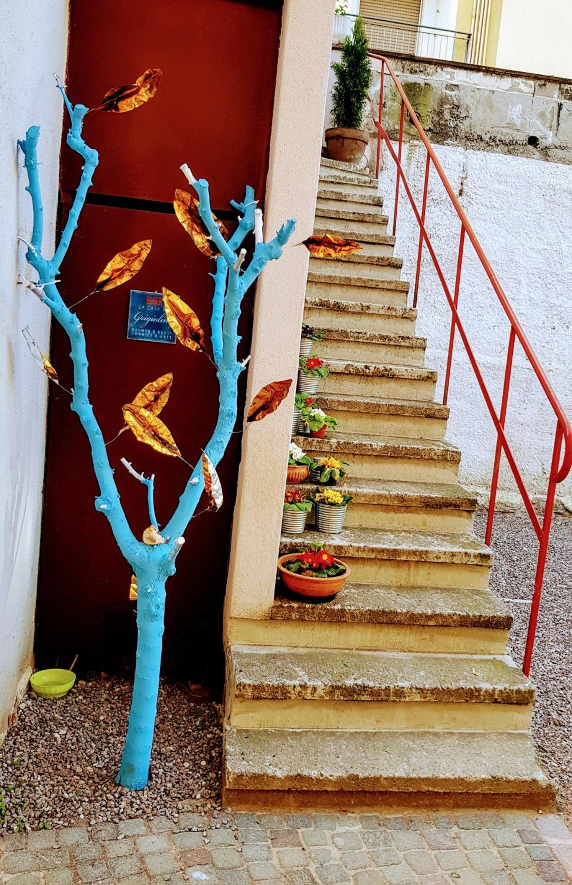 Photo 18