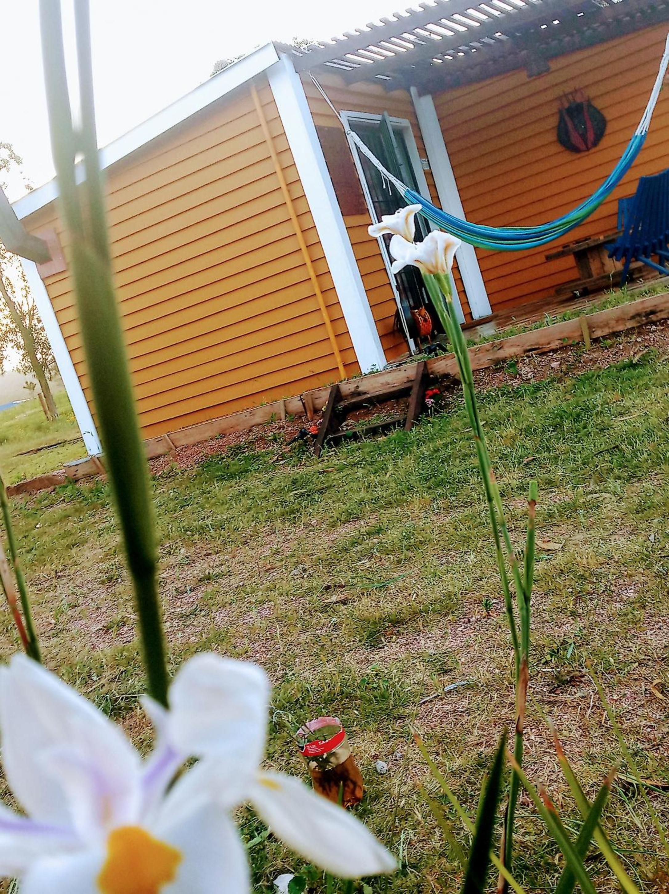 Photo 31