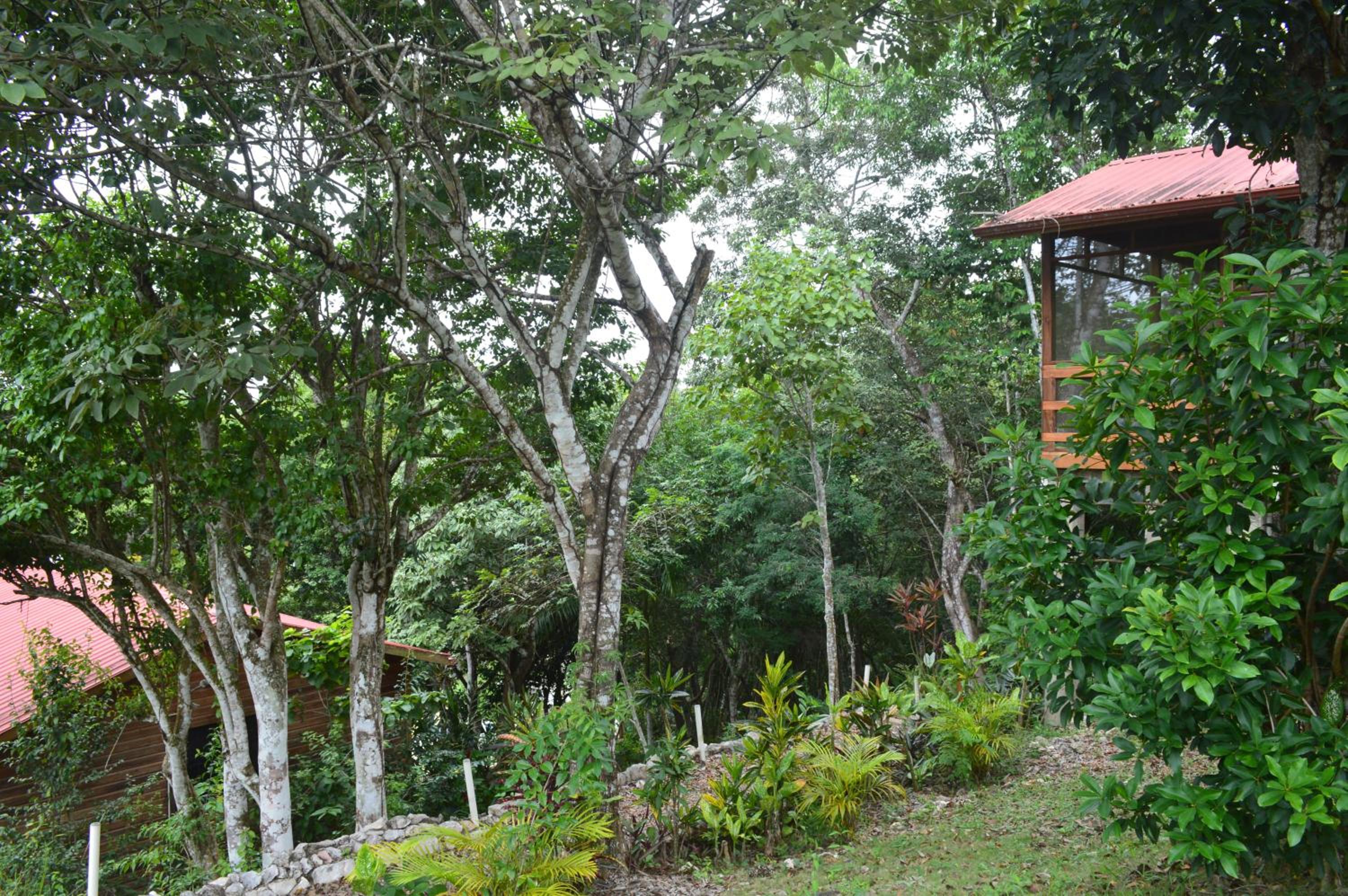 Santa Cruz Cabins