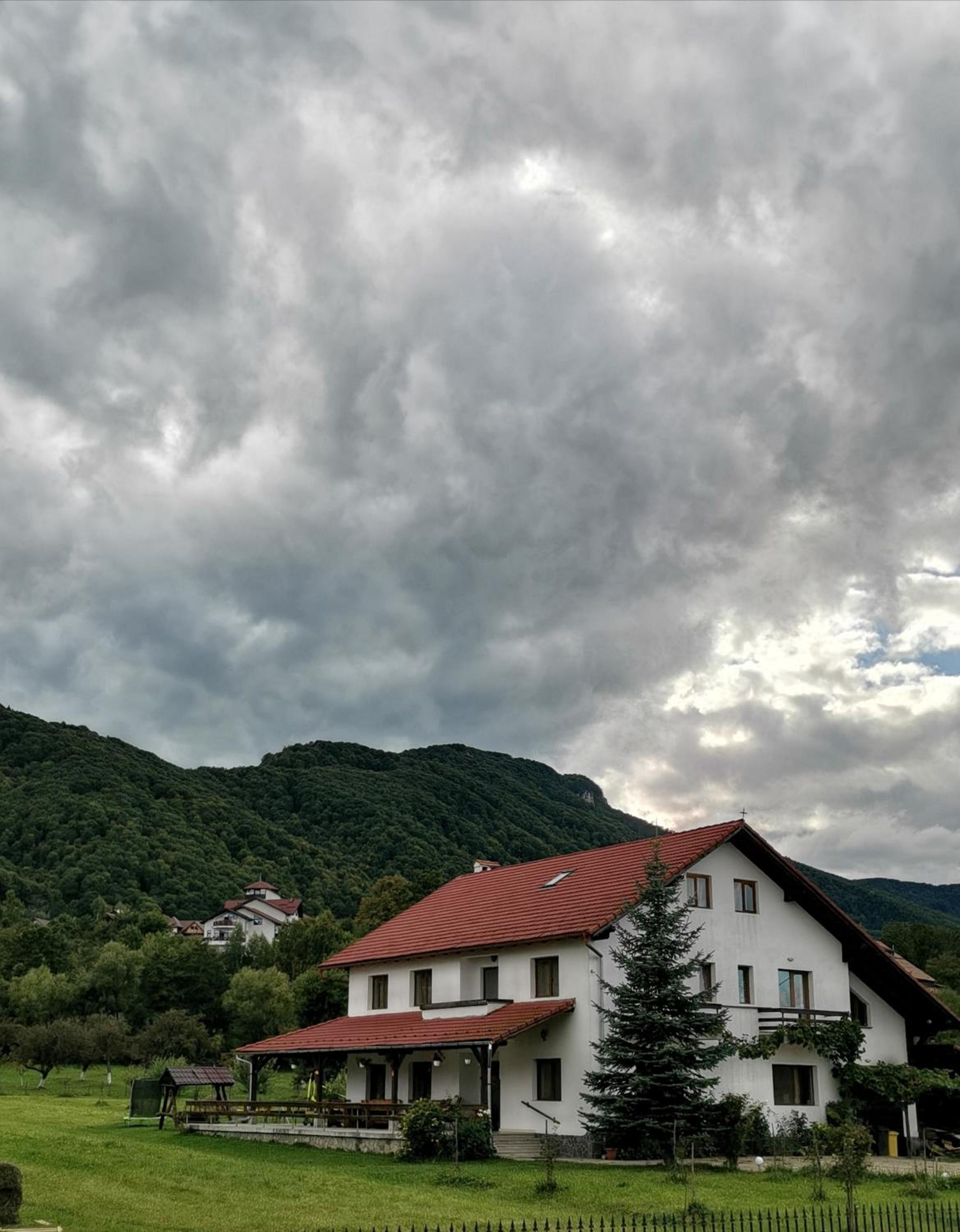 Casa cu Păuni