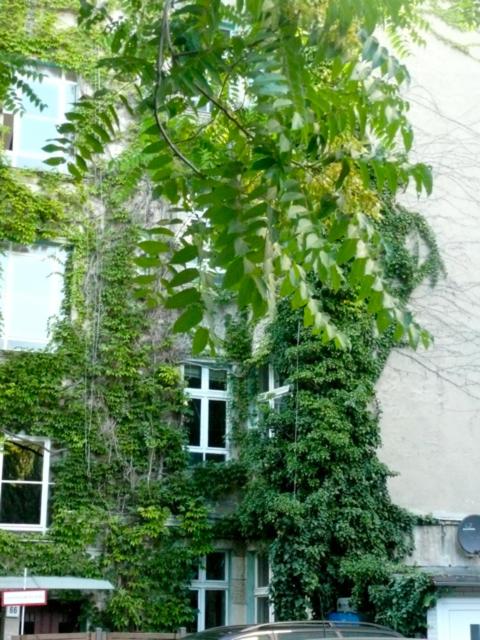 City Apartment Berlin