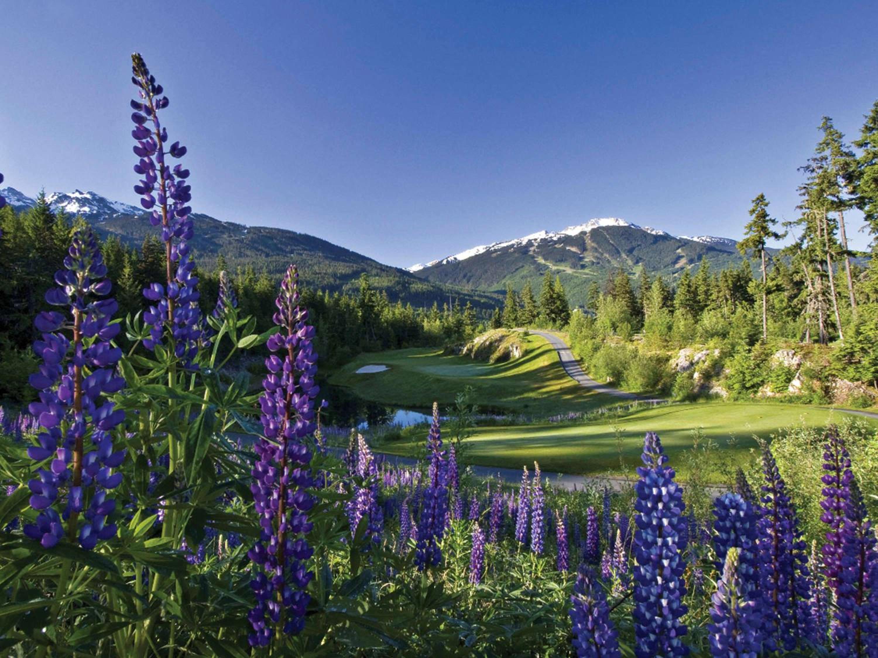 Fairmont Chateau Whistler 147