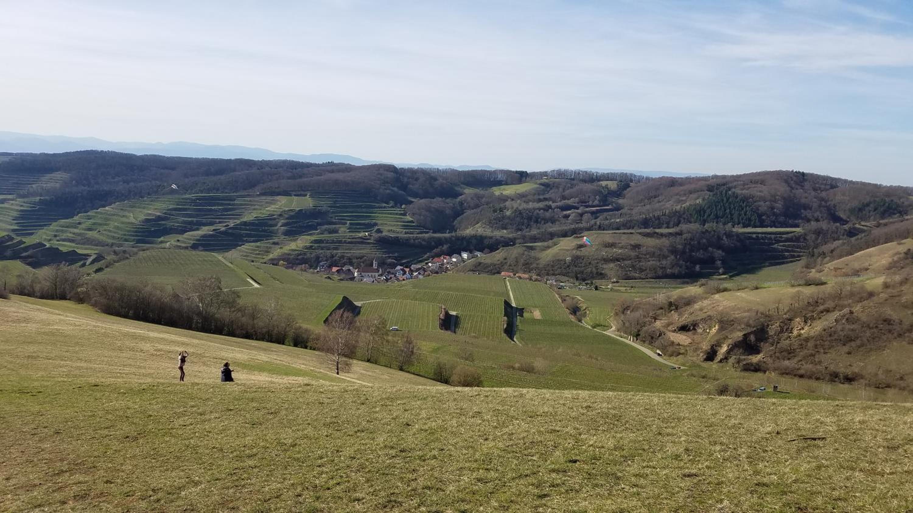 Ferienwohnung Sonnenschein view 5