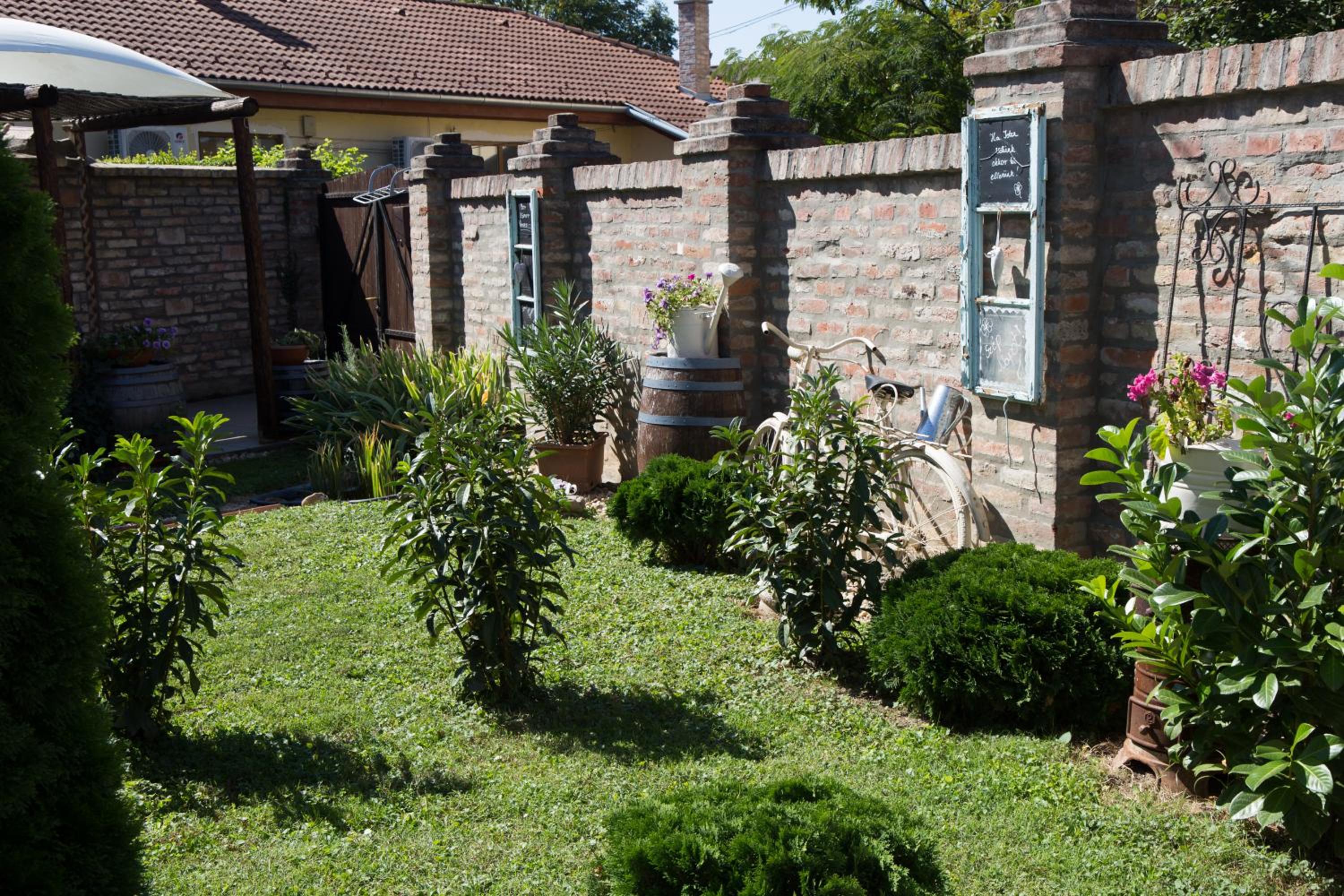 Bíborlak