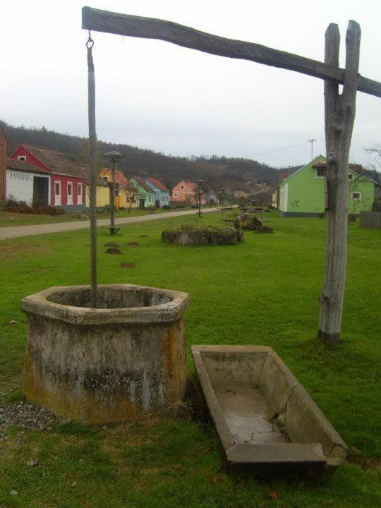 Photo 49