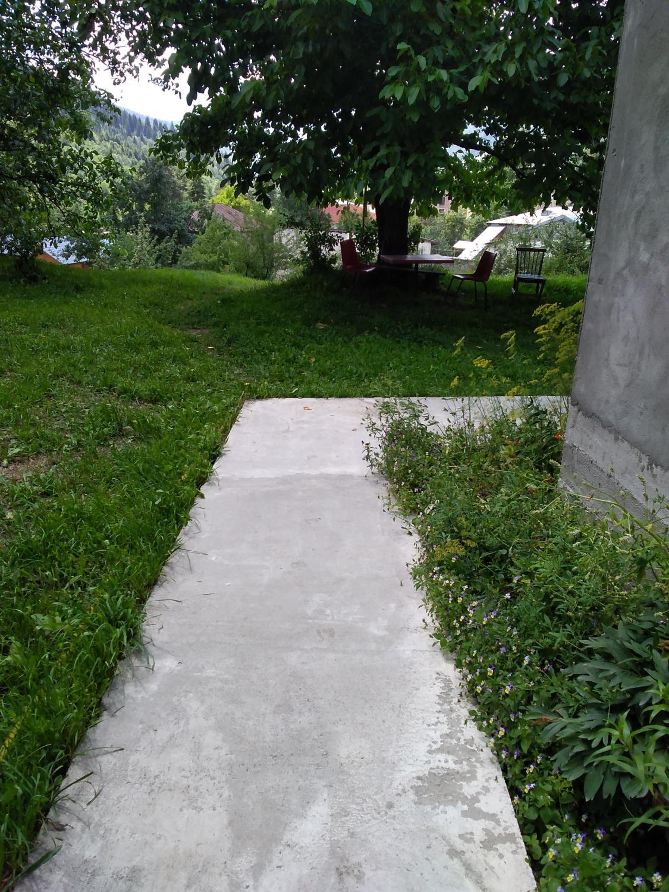 Photo 6