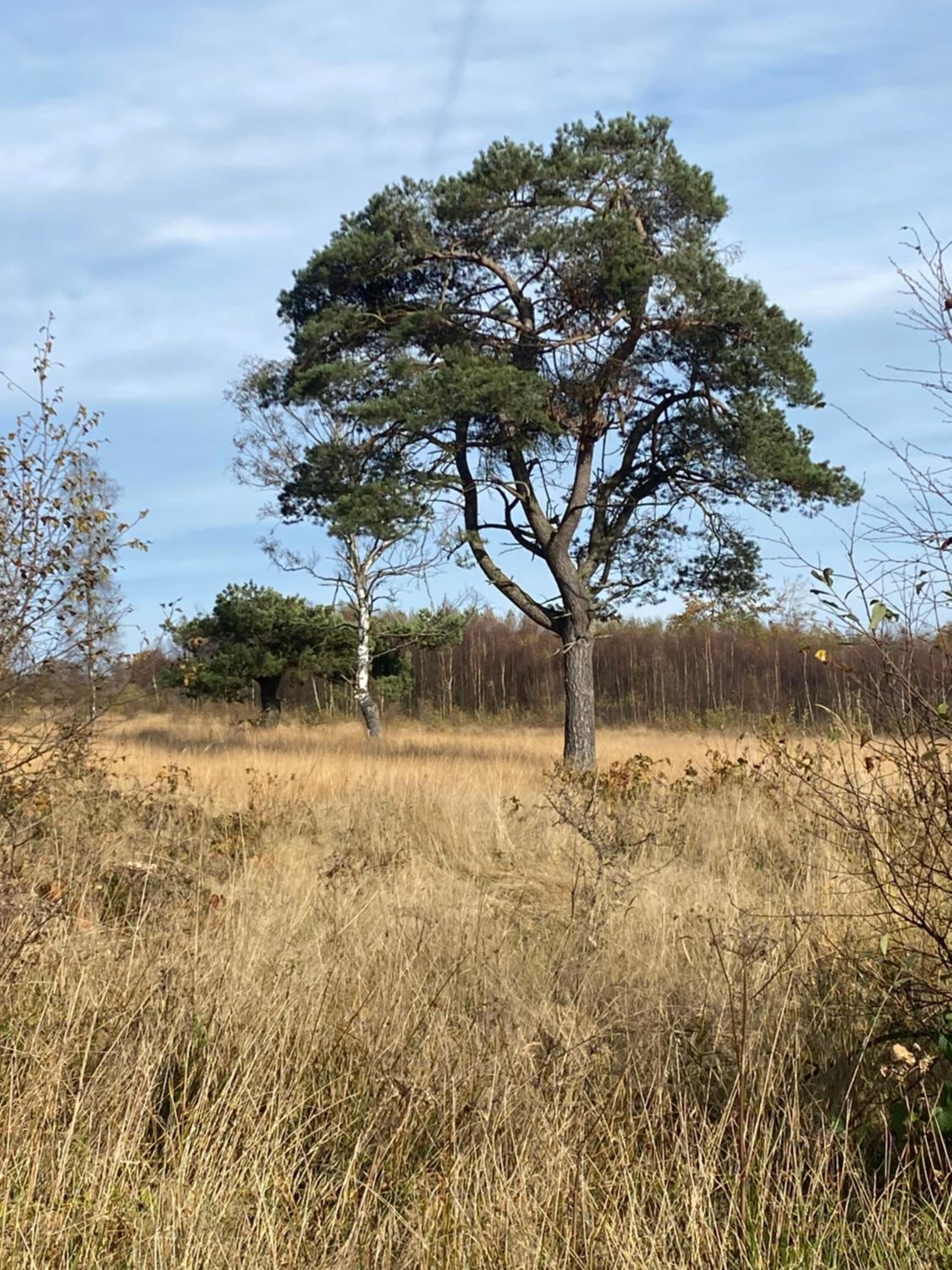 Landhausidylle view 3