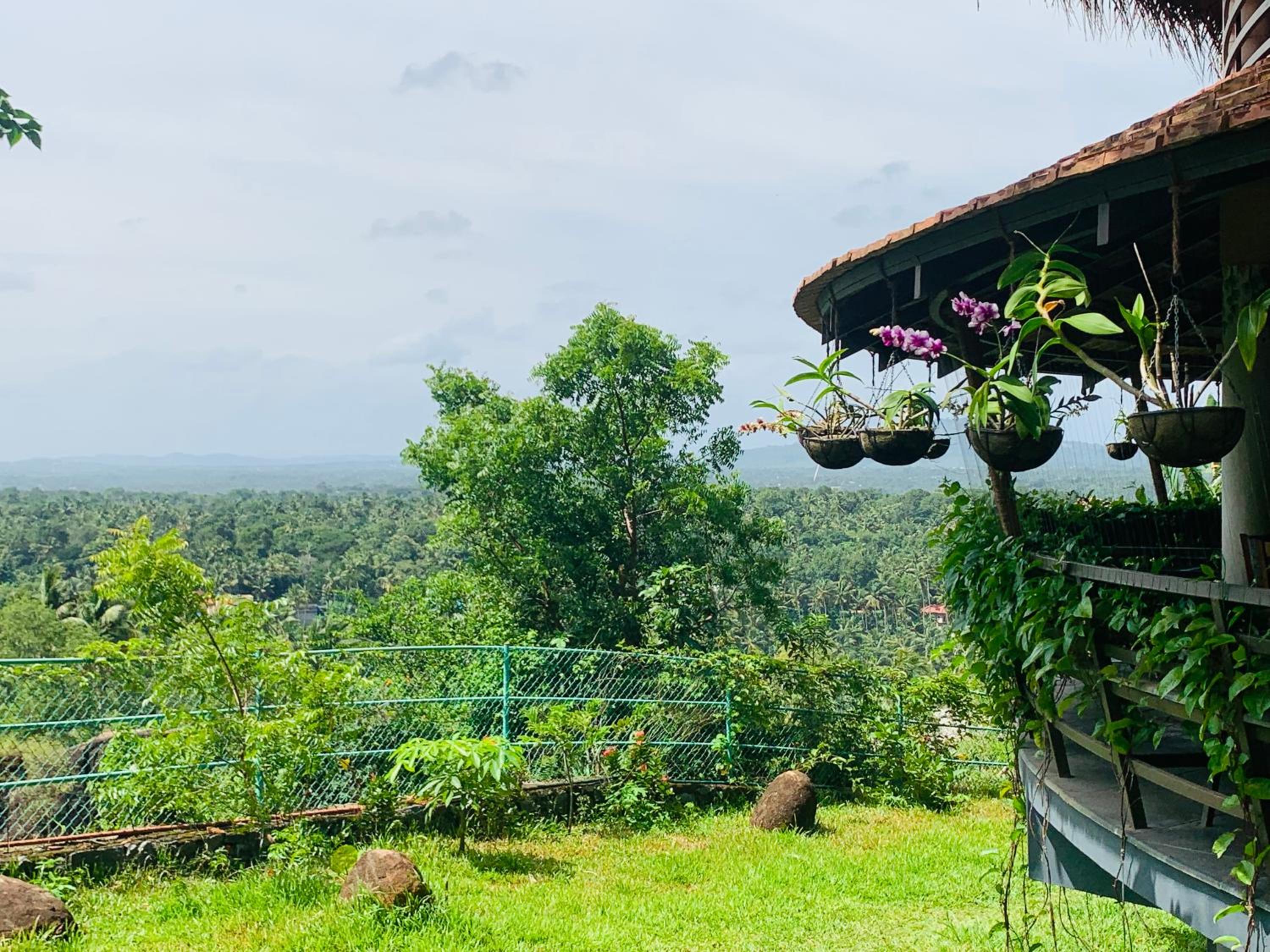Kovalam Vacations - AMARA AYURVEDA RETREAT- Overlooking Evergreen Western Ghats an ecologically sustainable living space in Kovalam - Property Image 68