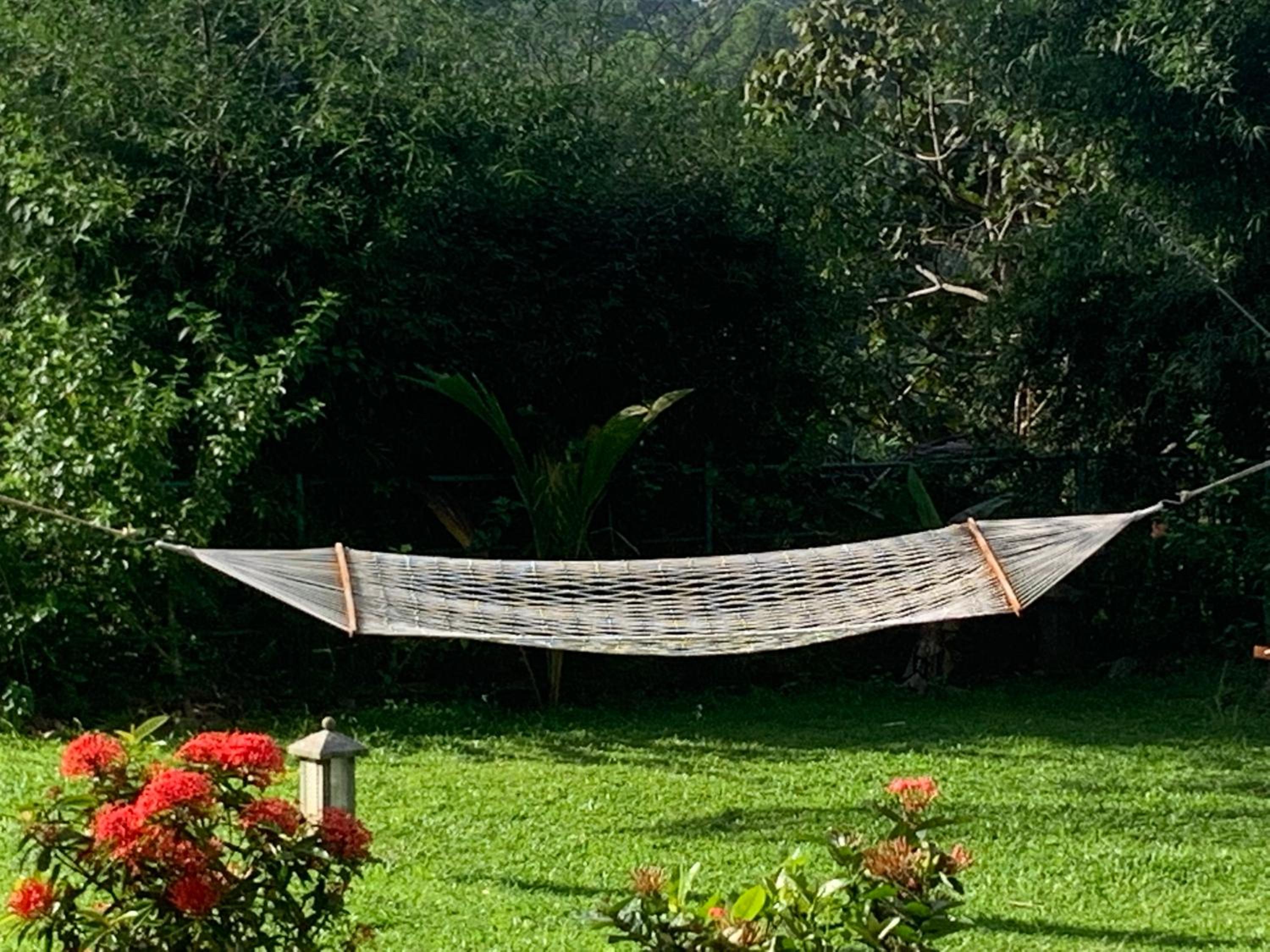 Kovalam Vacations - AMARA AYURVEDA RETREAT- Overlooking Evergreen Western Ghats an ecologically sustainable living space in Kovalam - Property Image 80