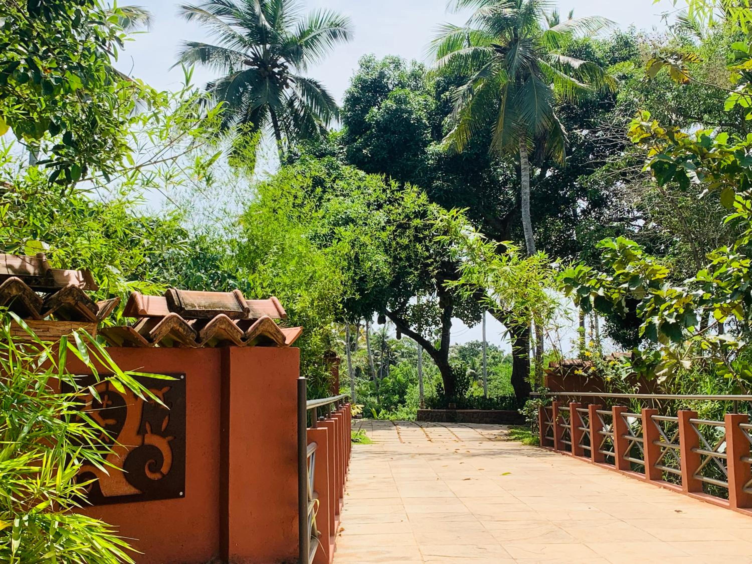 Kovalam Vacations - AMARA AYURVEDA RETREAT- Overlooking Evergreen Western Ghats an ecologically sustainable living space in Kovalam - Property Image 69
