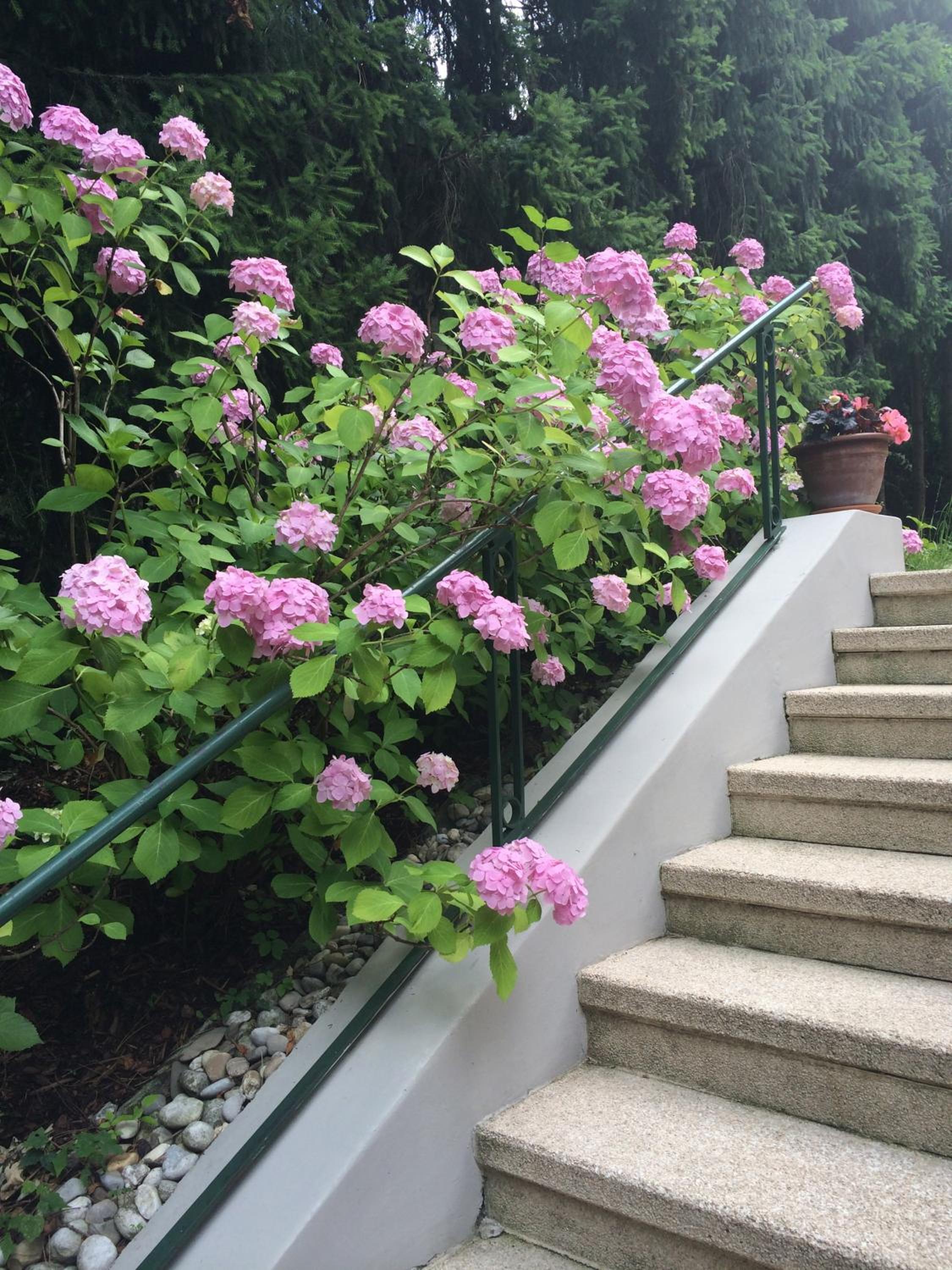 Exquisites Gartenapartment in eleganter Jugendstilvilla