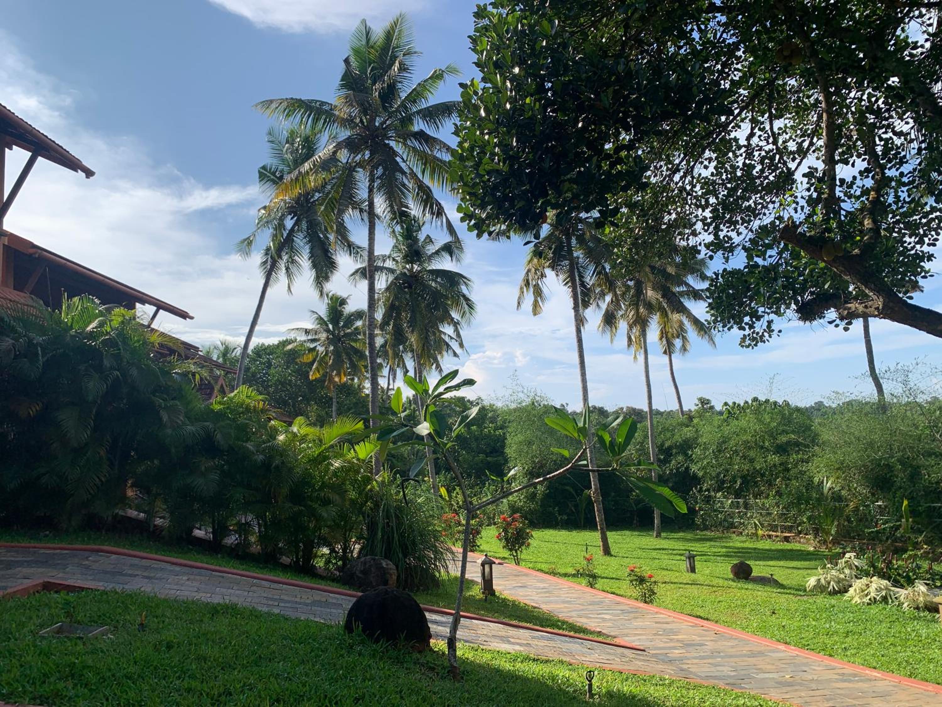Kovalam Vacations - AMARA AYURVEDA RETREAT- Overlooking Evergreen Western Ghats an ecologically sustainable living space in Kovalam - Property Image 18